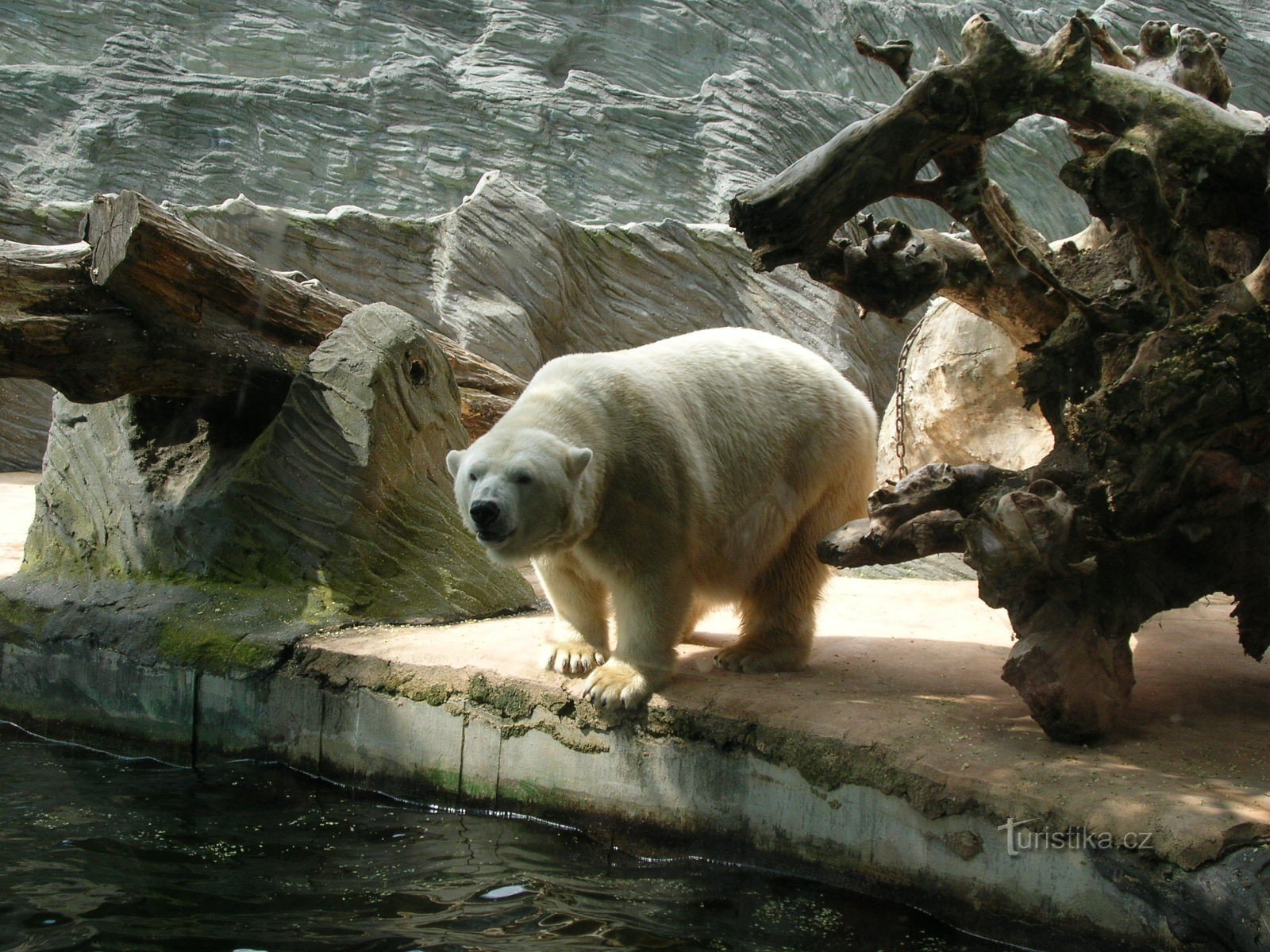 Zoo de Prague