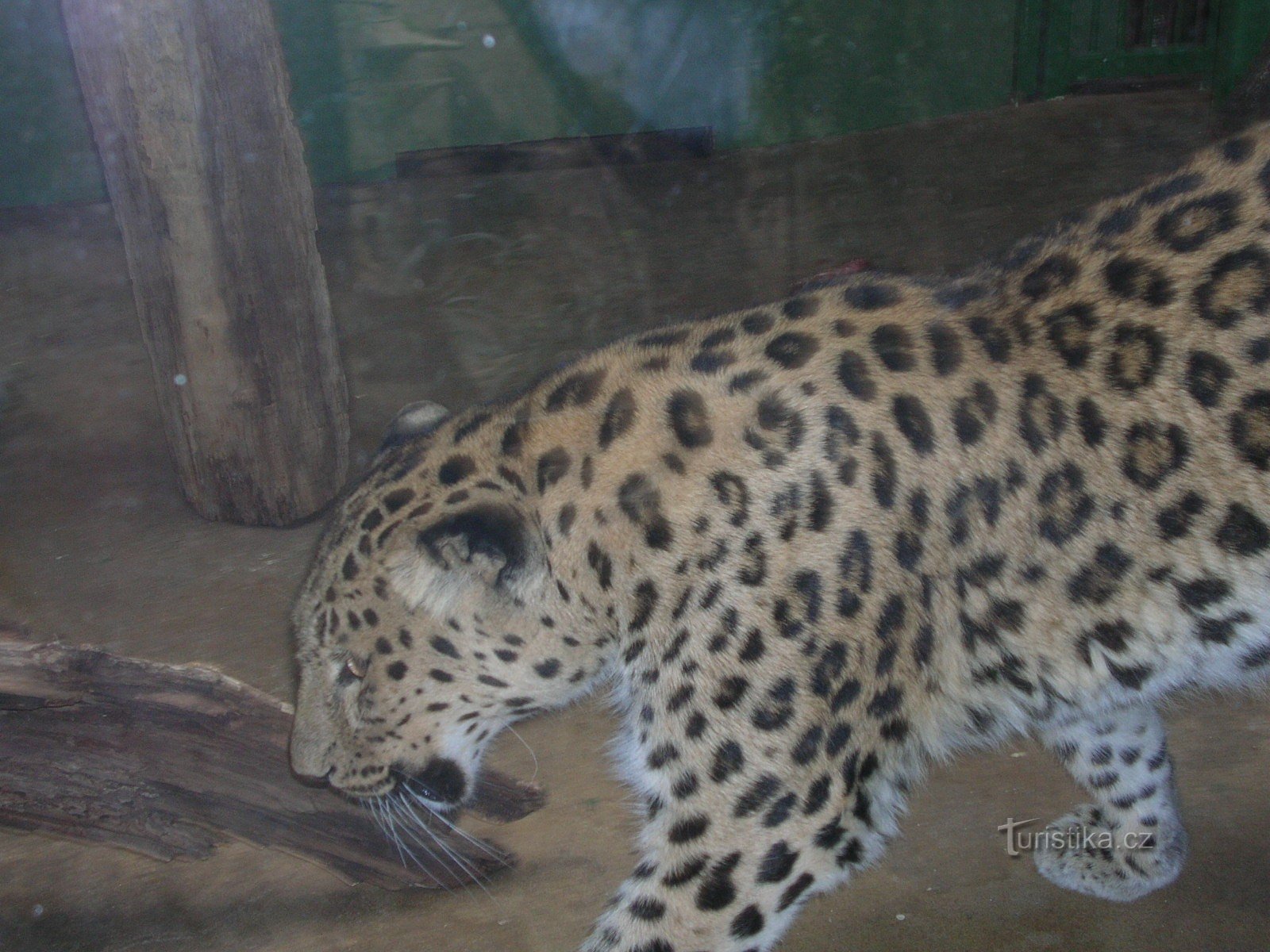 Grădina Zoologică din Praga