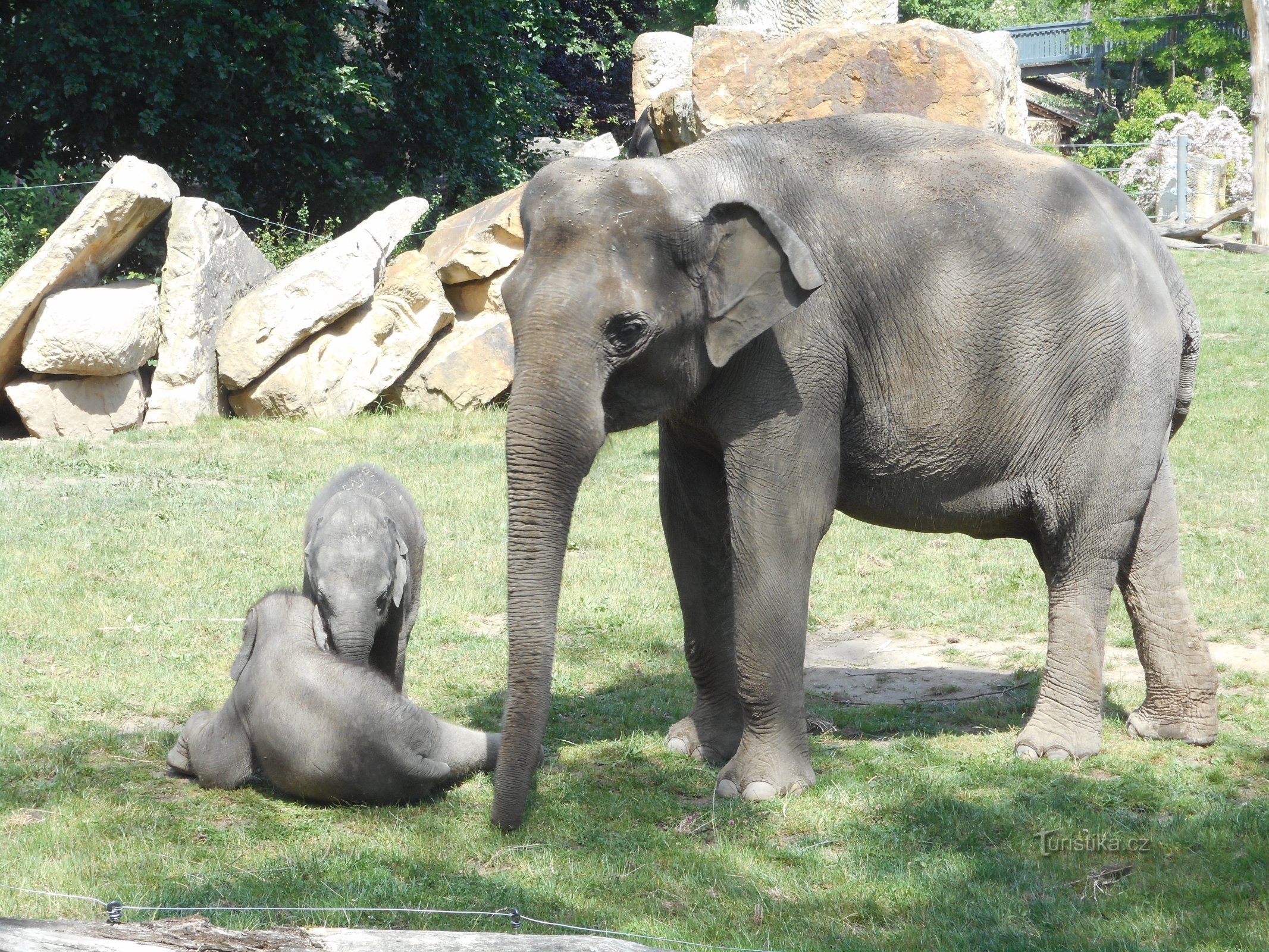 プラハ動物園