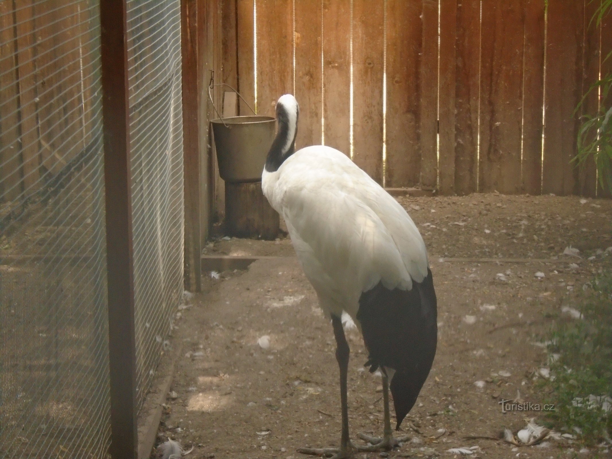 Grădina Zoologică SEDLEC