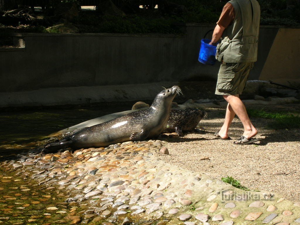 Zoo en Ústí nad Labem