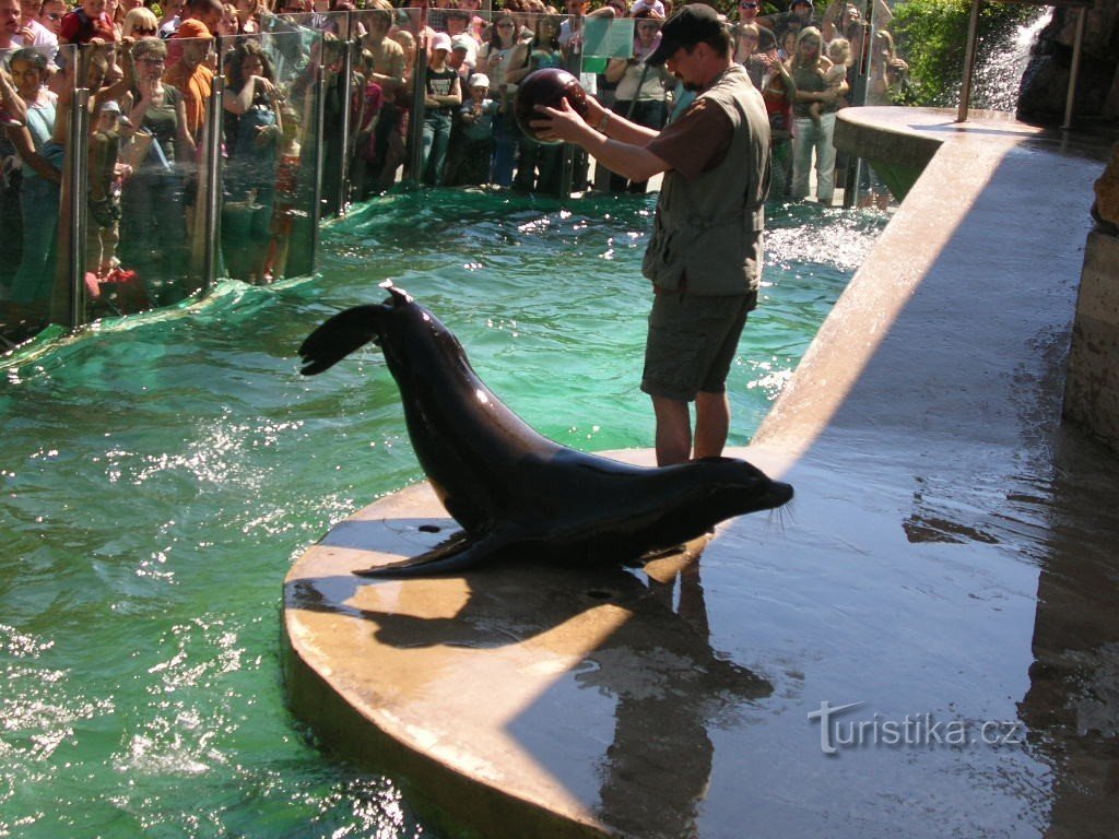 Zoo di Ústí nad Labem