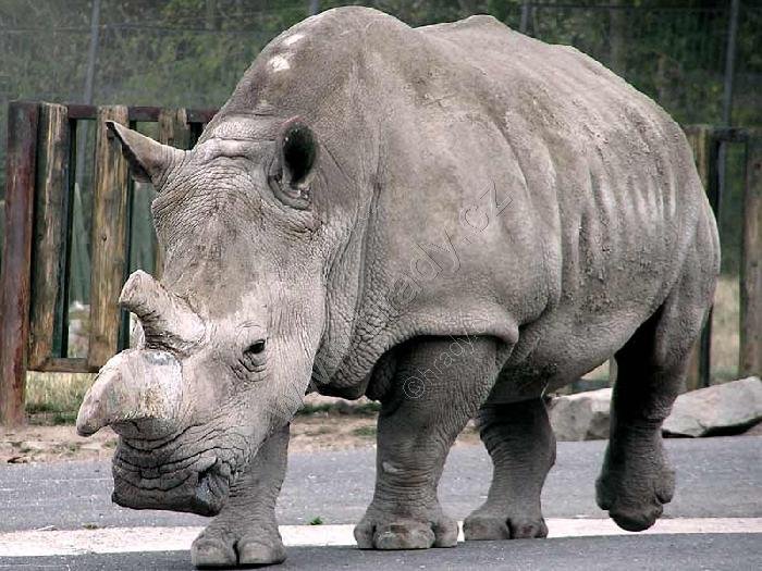 ZOO Ústí nad Labem