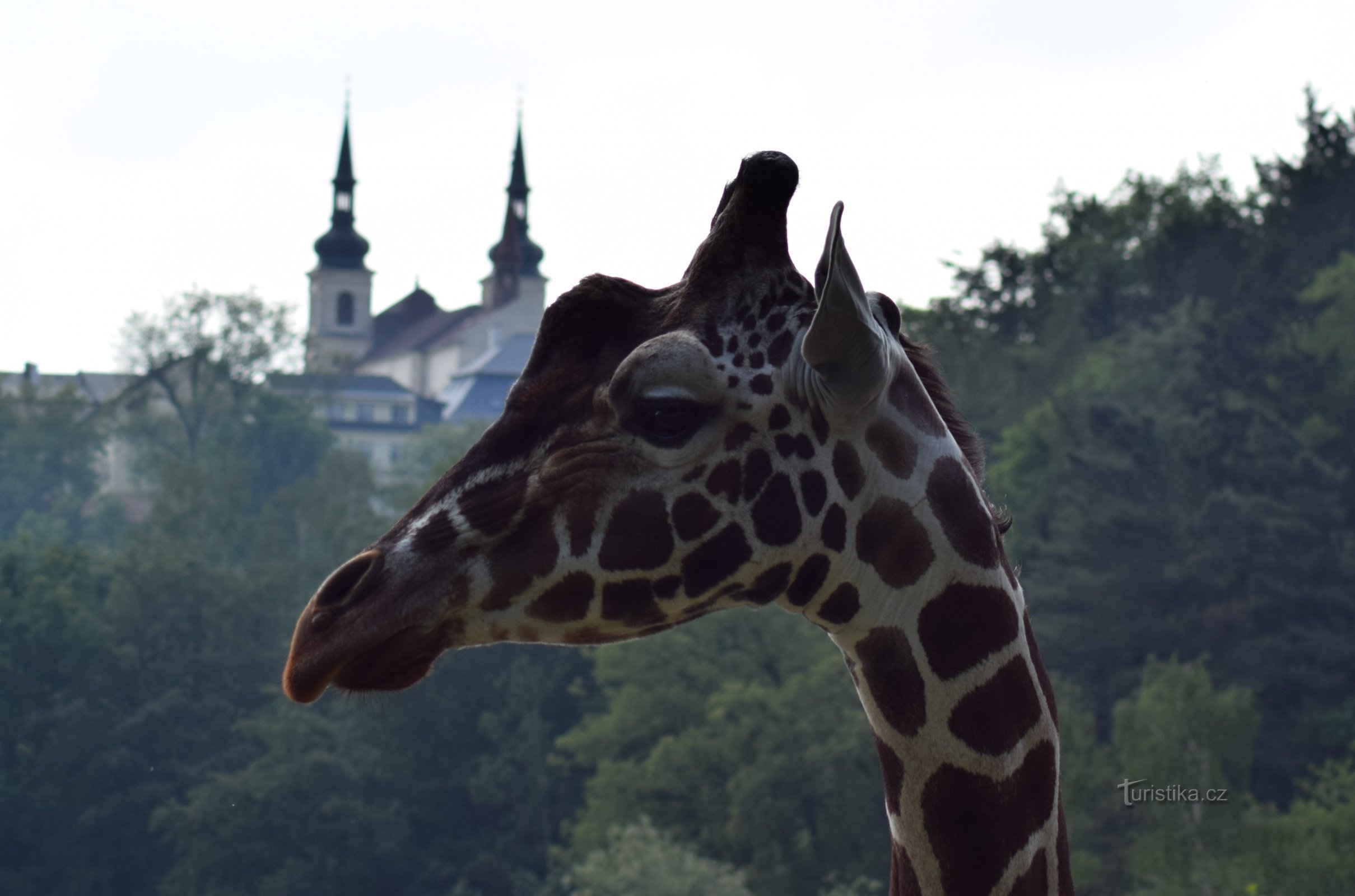 ZOO in Jihlava.