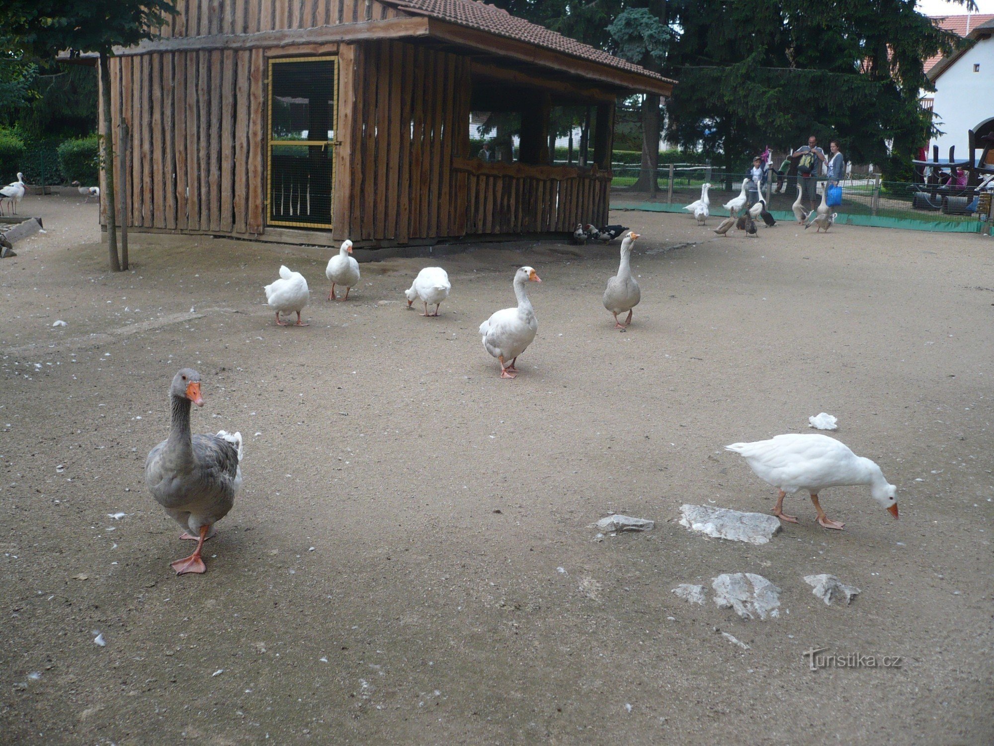 grădina zoologică Vyškov