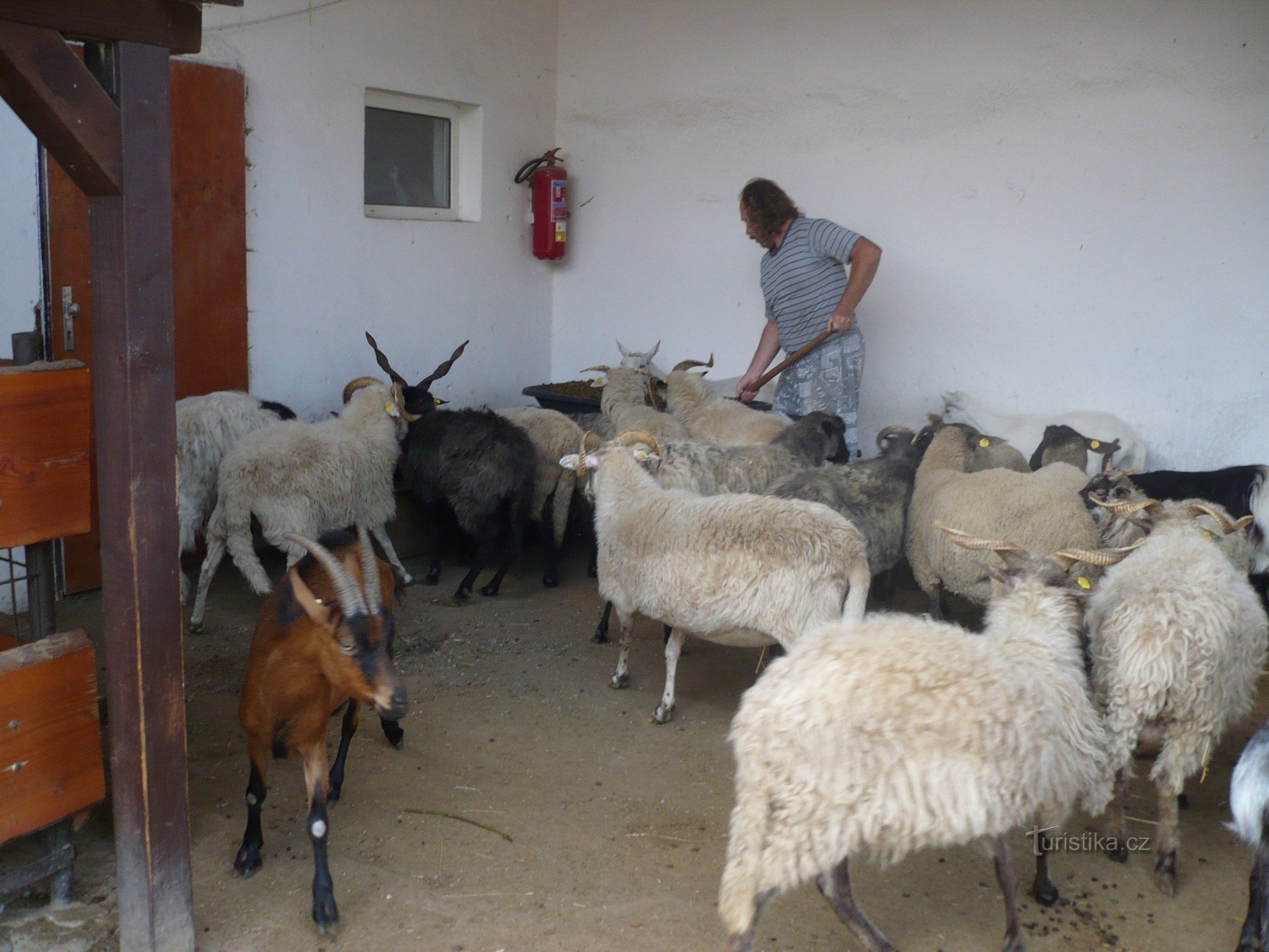 zoo de Vyškov