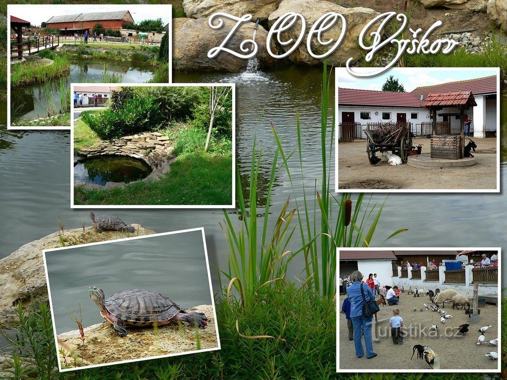 ZOO Vyškov avec des animaux domestiques