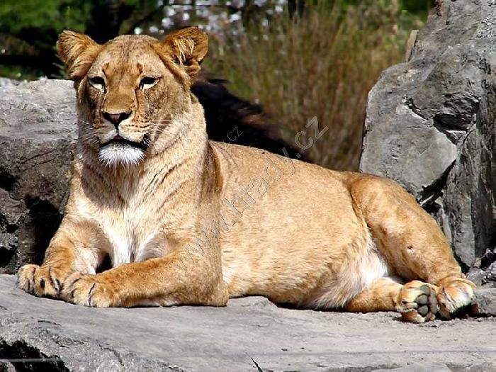 Zoologická a botanická zahrada