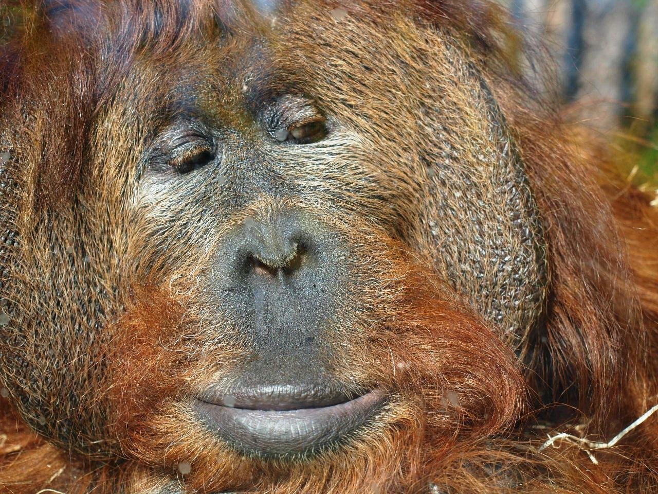 Zoologická zahrada Ústí nad Labem