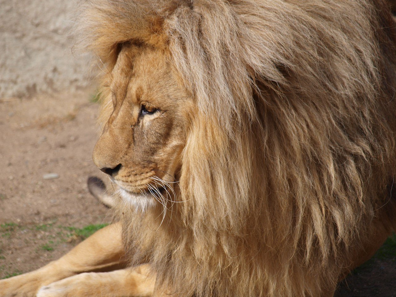 Zoo Ústí nad Labem