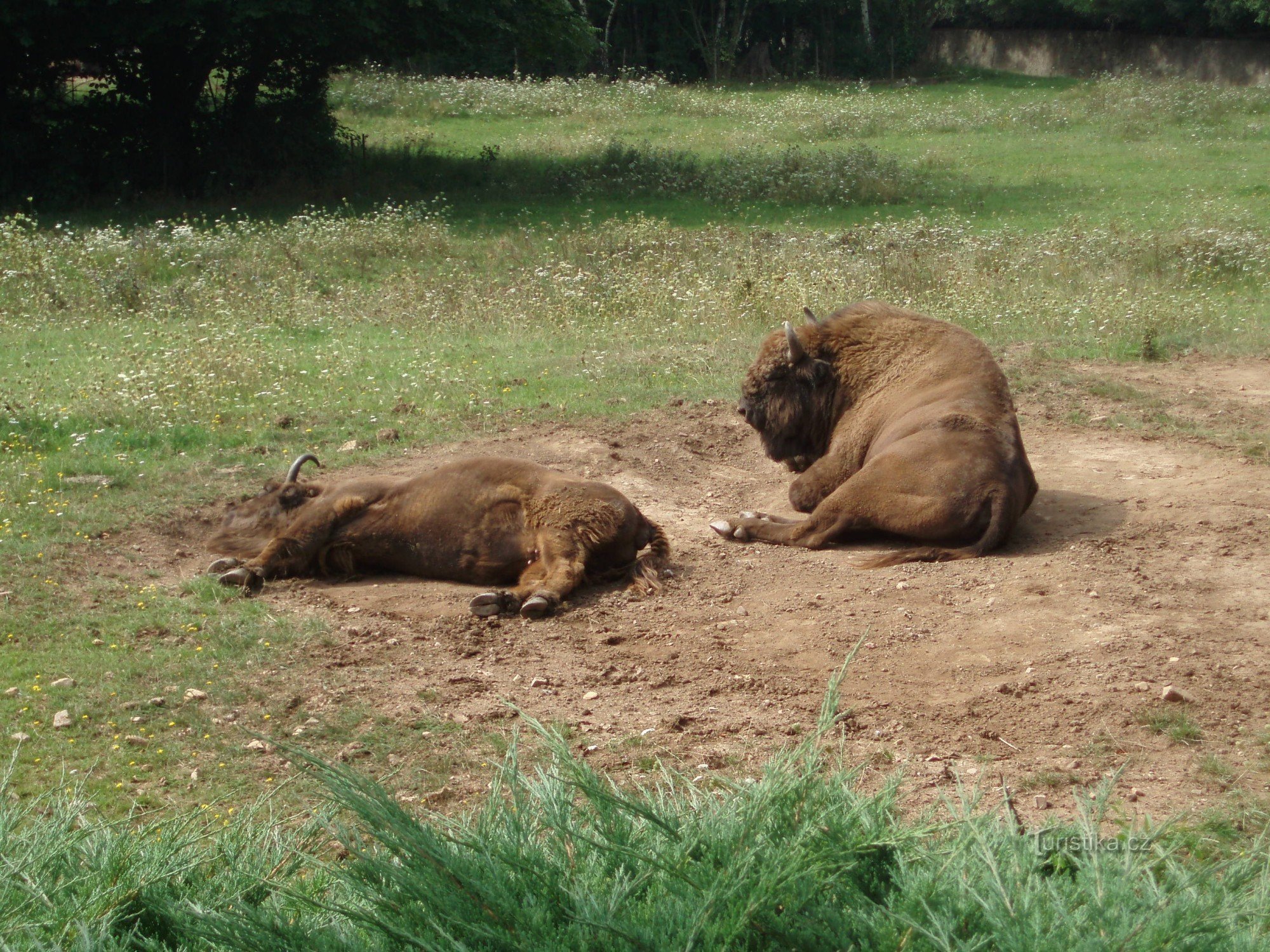 Grădină zoologică