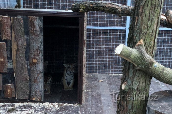 Grădina Zoologică Karlstejn