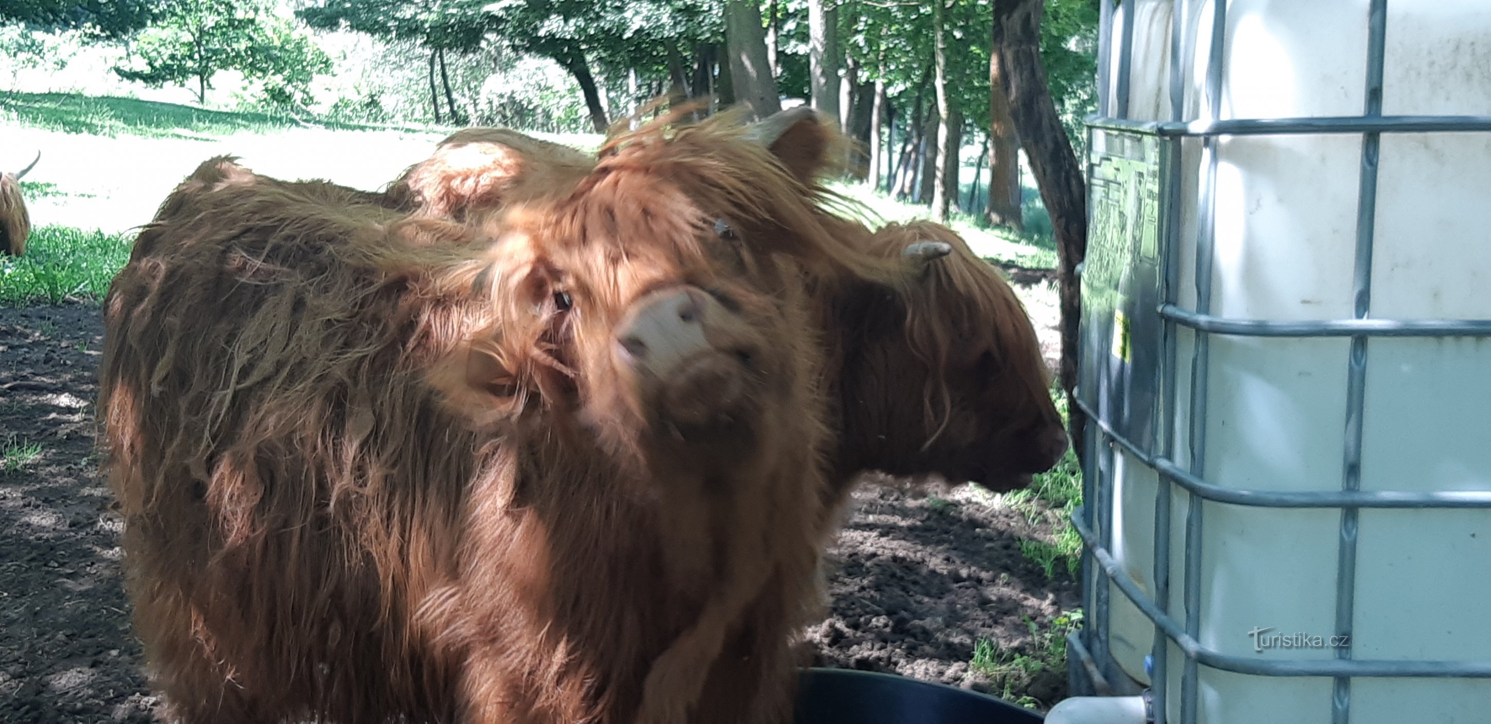 フラデチェク動物園