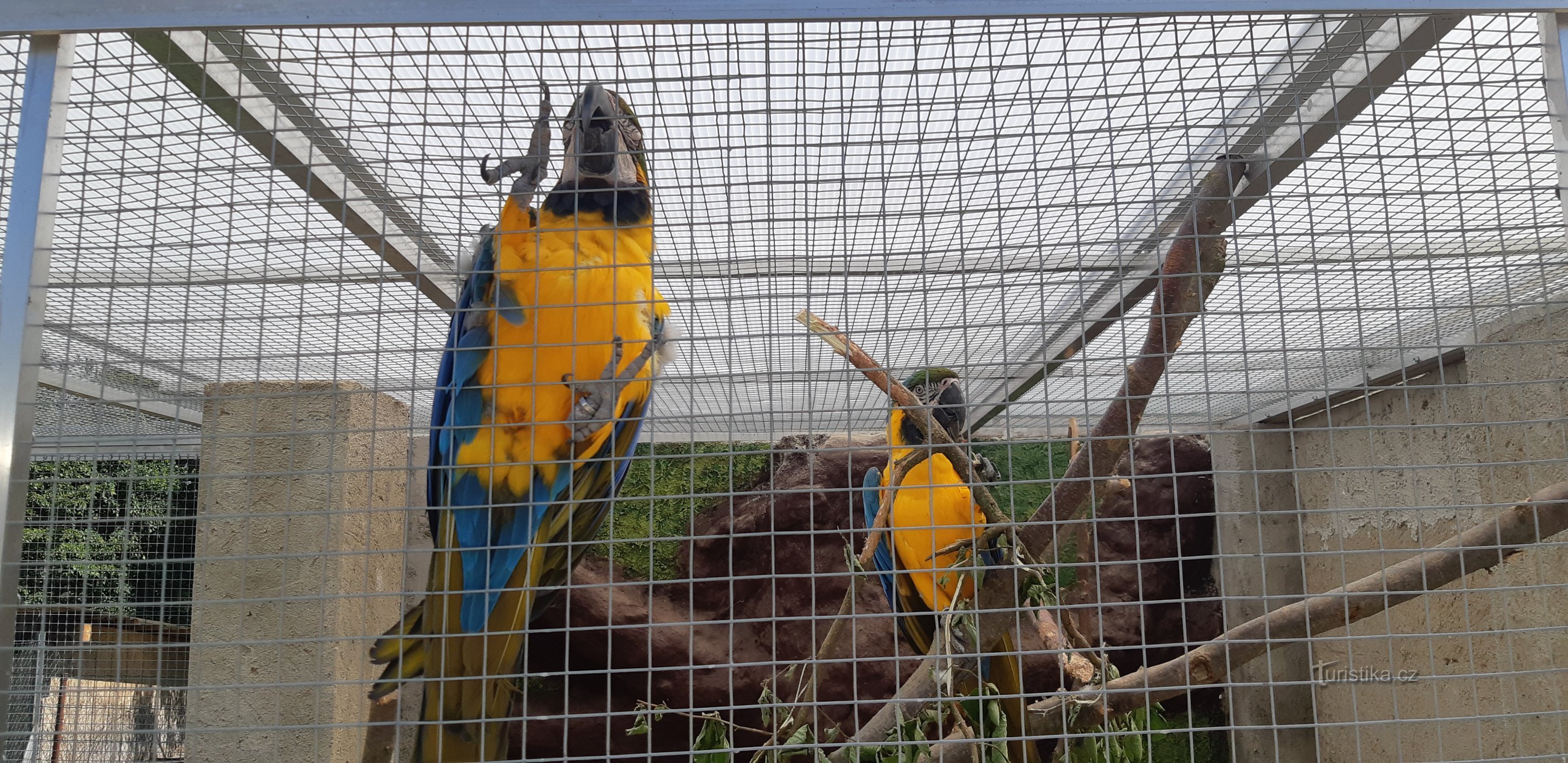 フラデチェク動物園