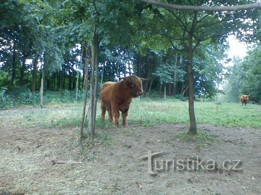 Zoo Park Na Hrádečku Jindřichova Hradec közelében