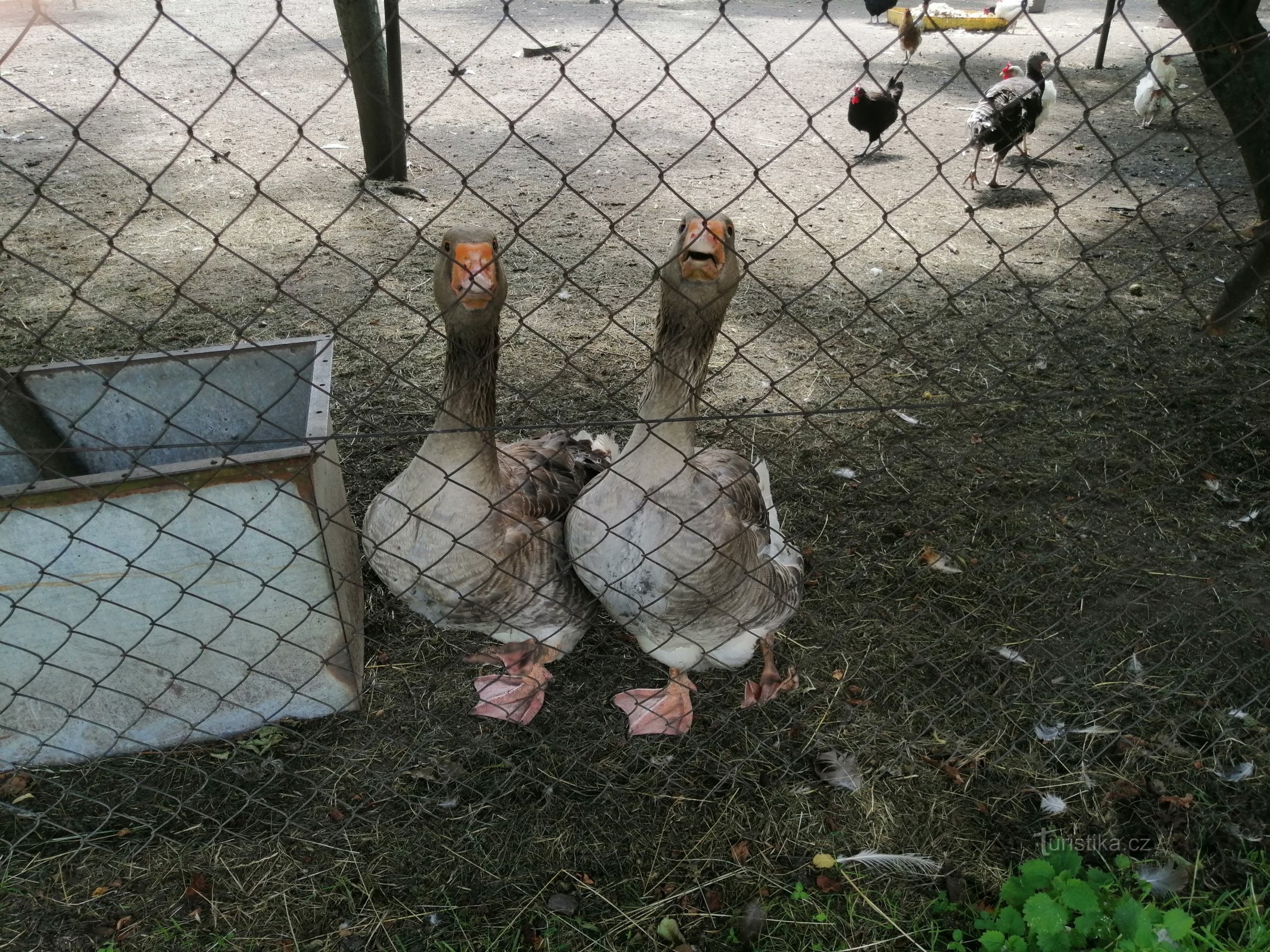 ラドニツェ動物園