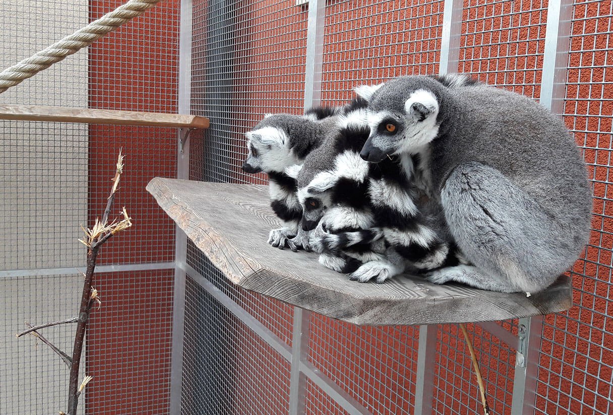 Zoo de Stežery