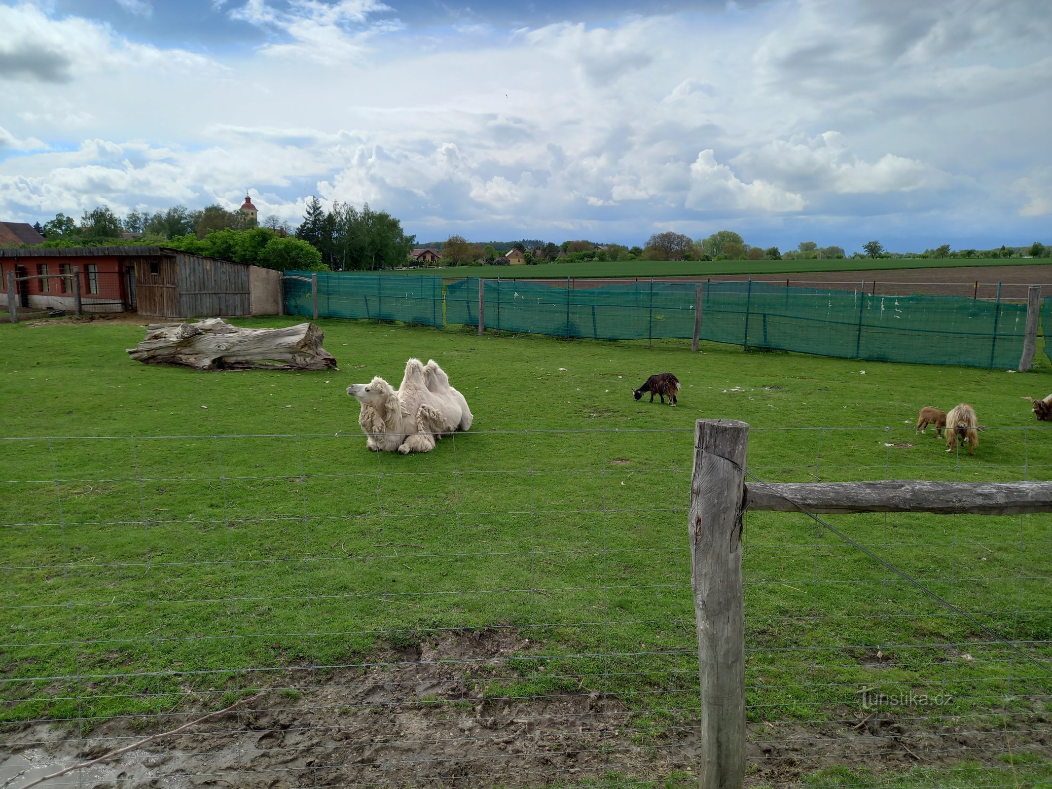 Zoo di Stežery