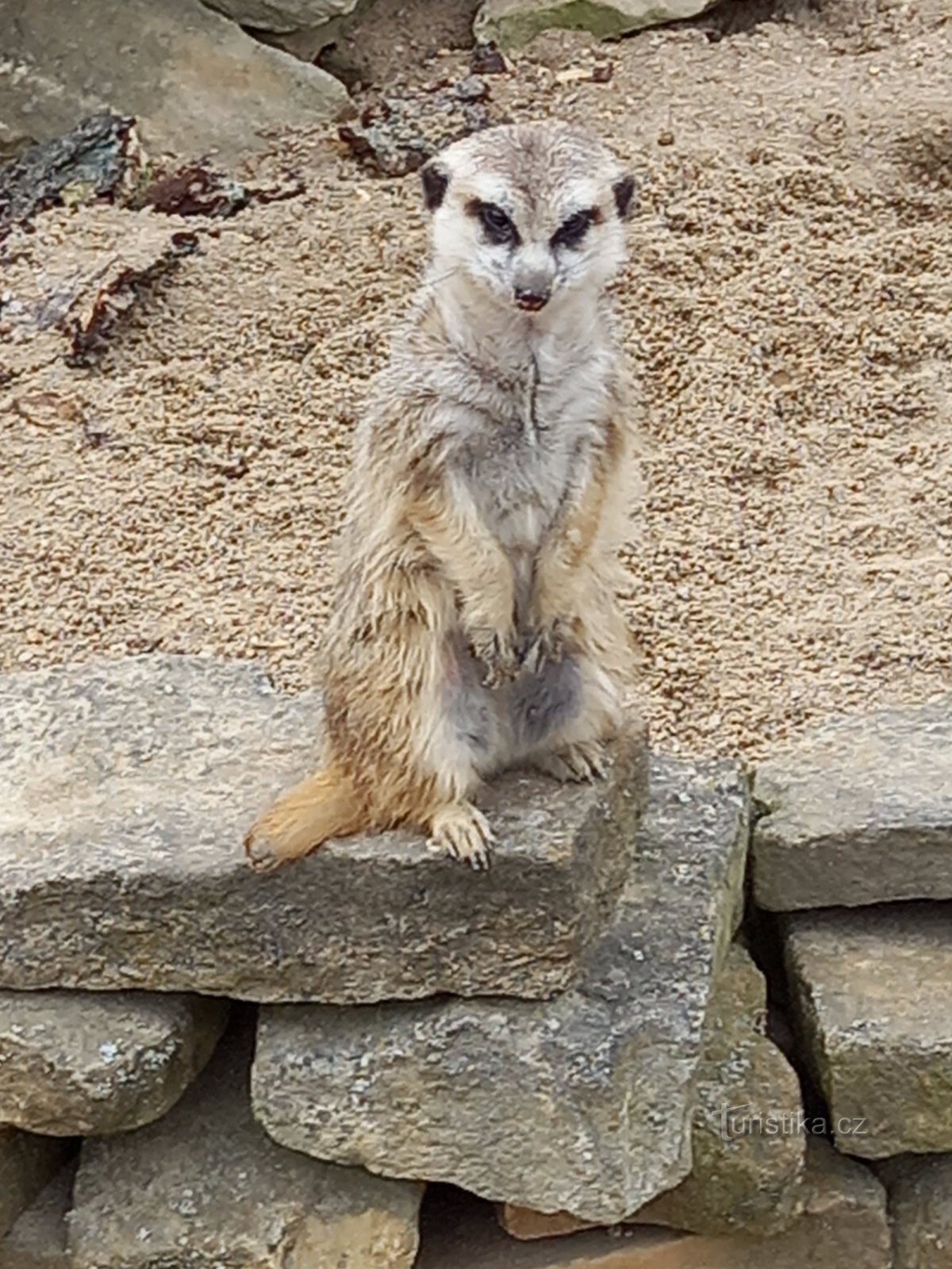 Zoológico Stežery