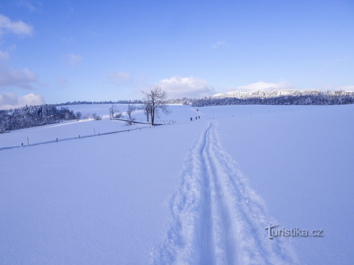 Eerst een spoor van de natuur