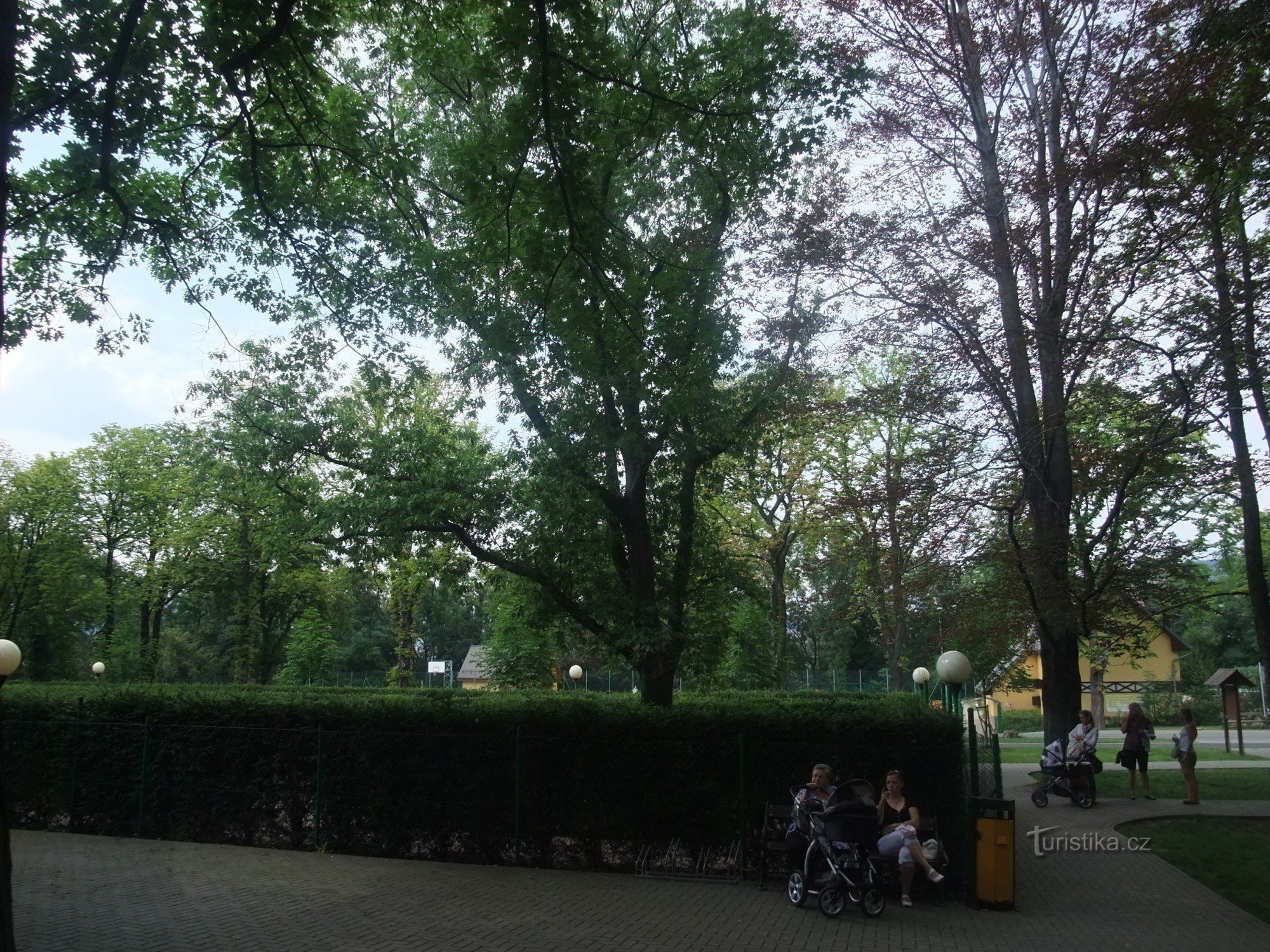 Spiegel en natuurlijk doolhof in Větruša - Ústí nad Labem