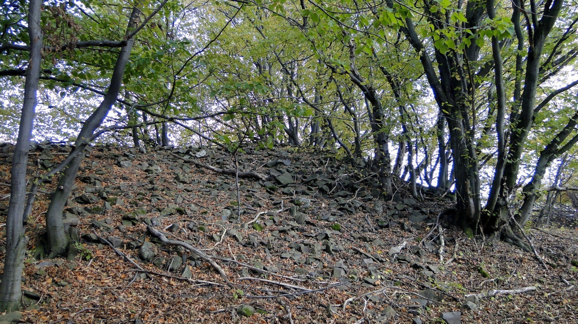 anscheinend die Überreste von Wällen rund um das Fort