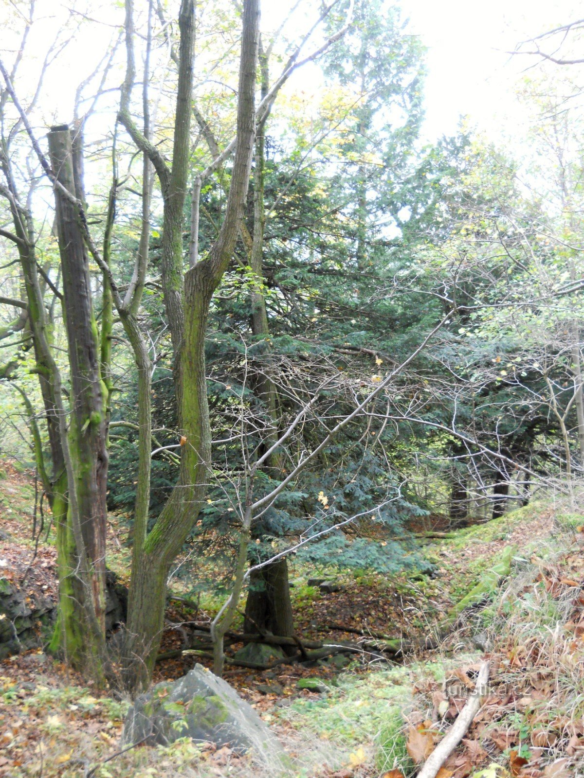 Ruines de Netřeb et parc naturel