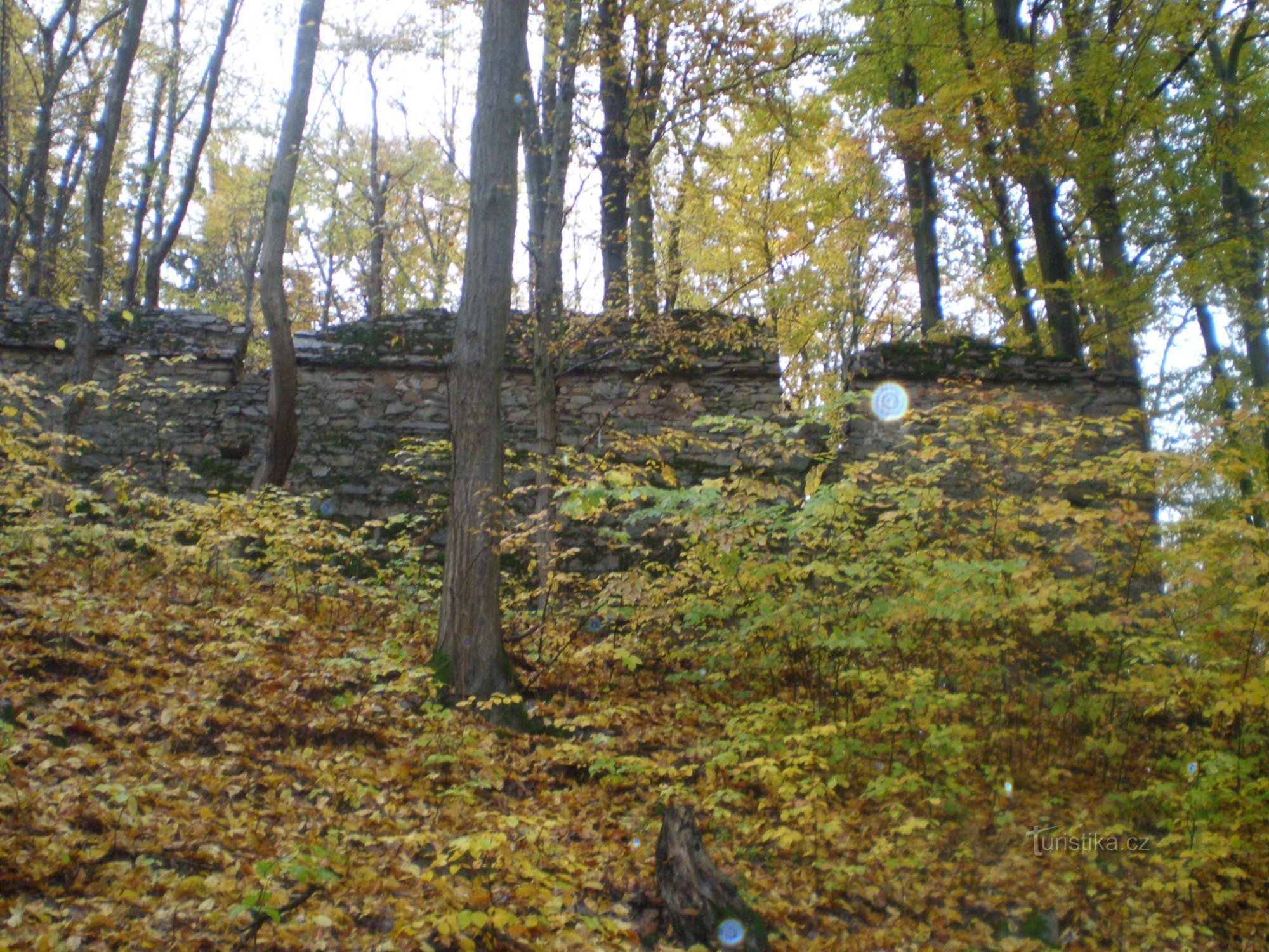 ruinerna av Dolní Loučka