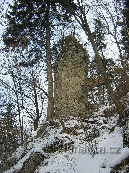 Holstein ruins