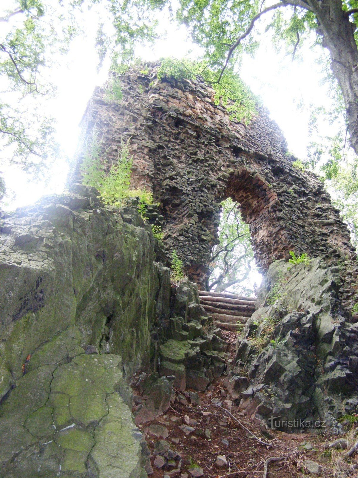 le rovine del castello di Bradlec
