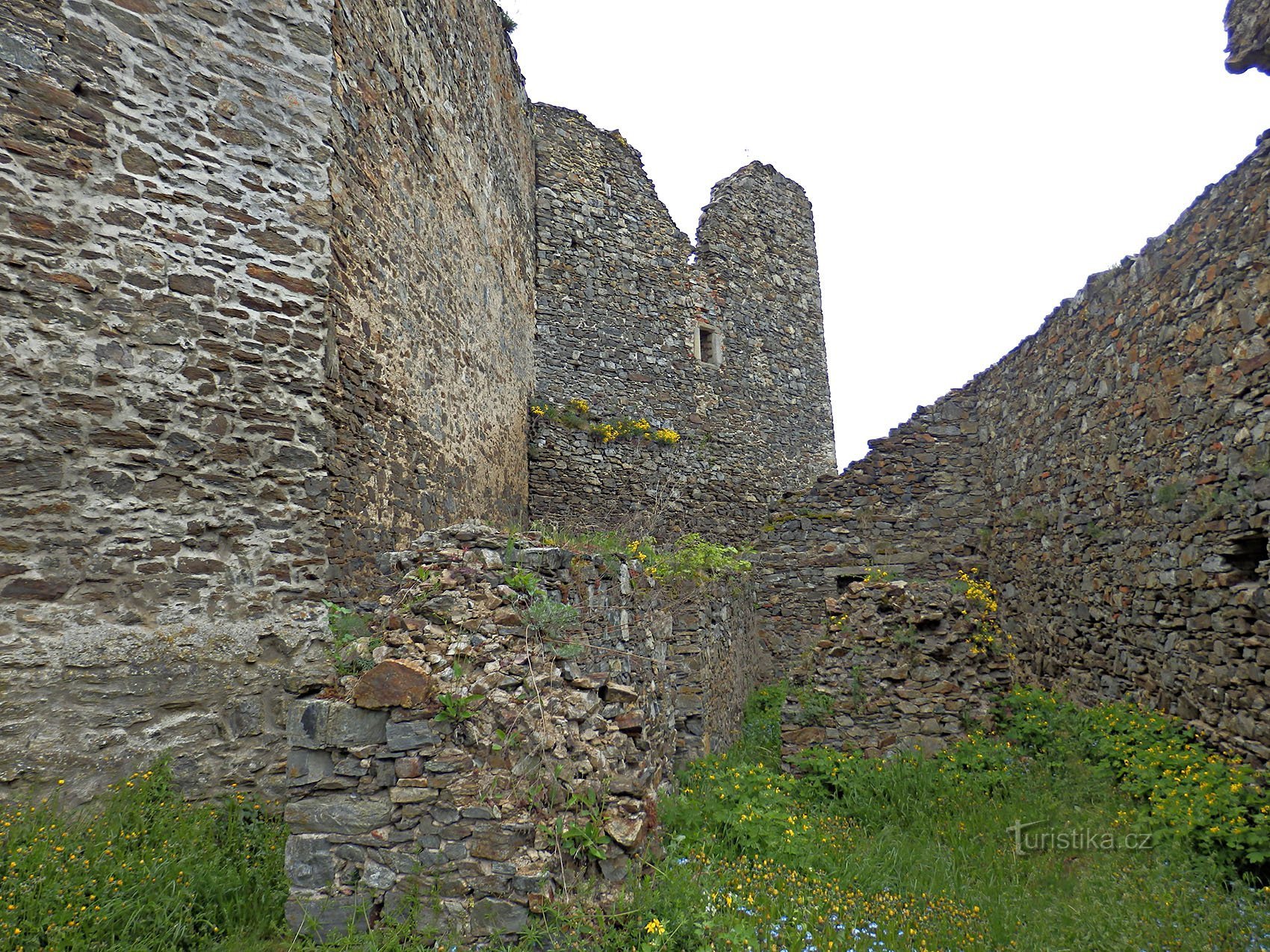 die Ruine der Burg Cornštejn