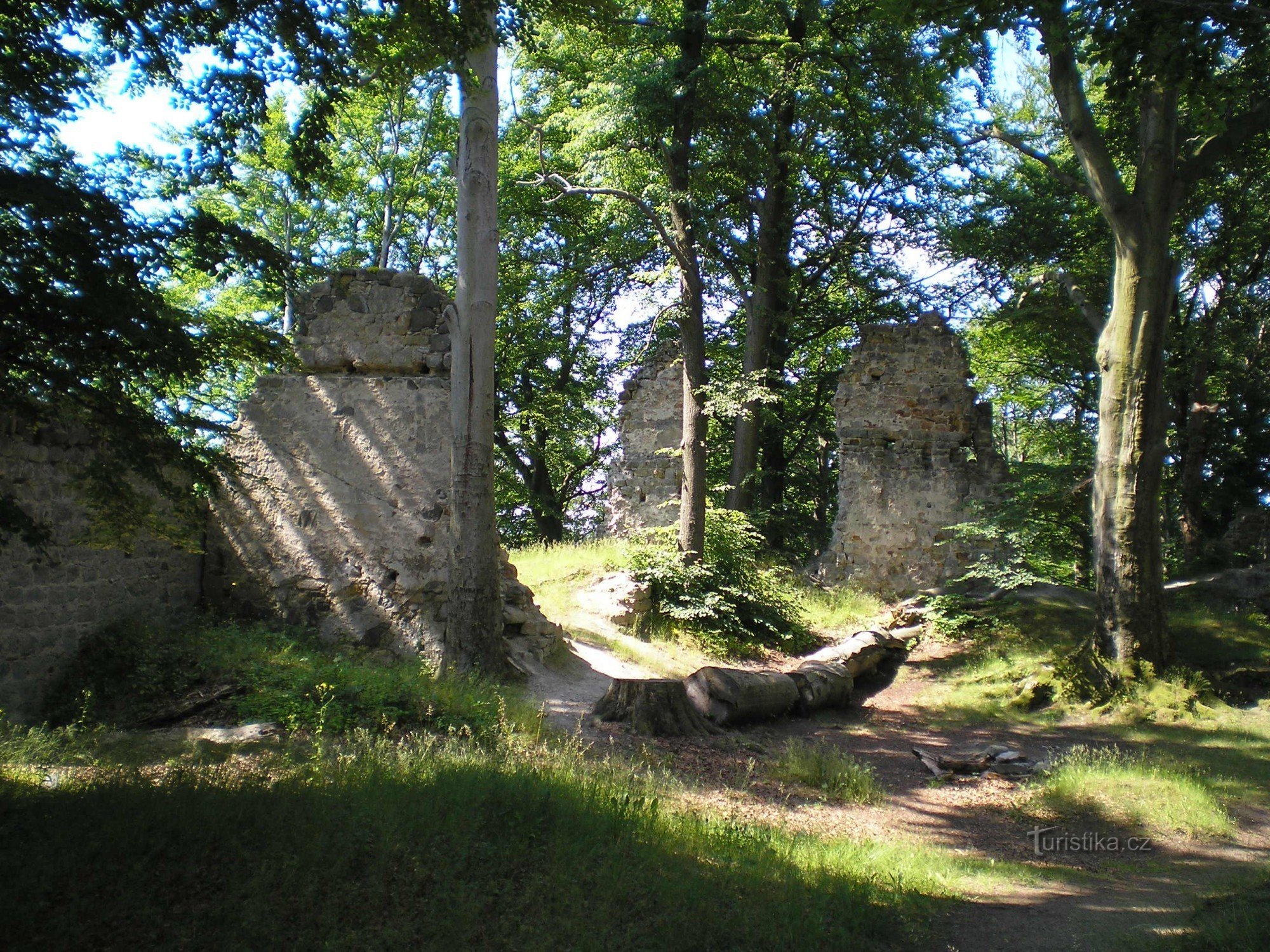 Tàn tích của lâu đài Děvín