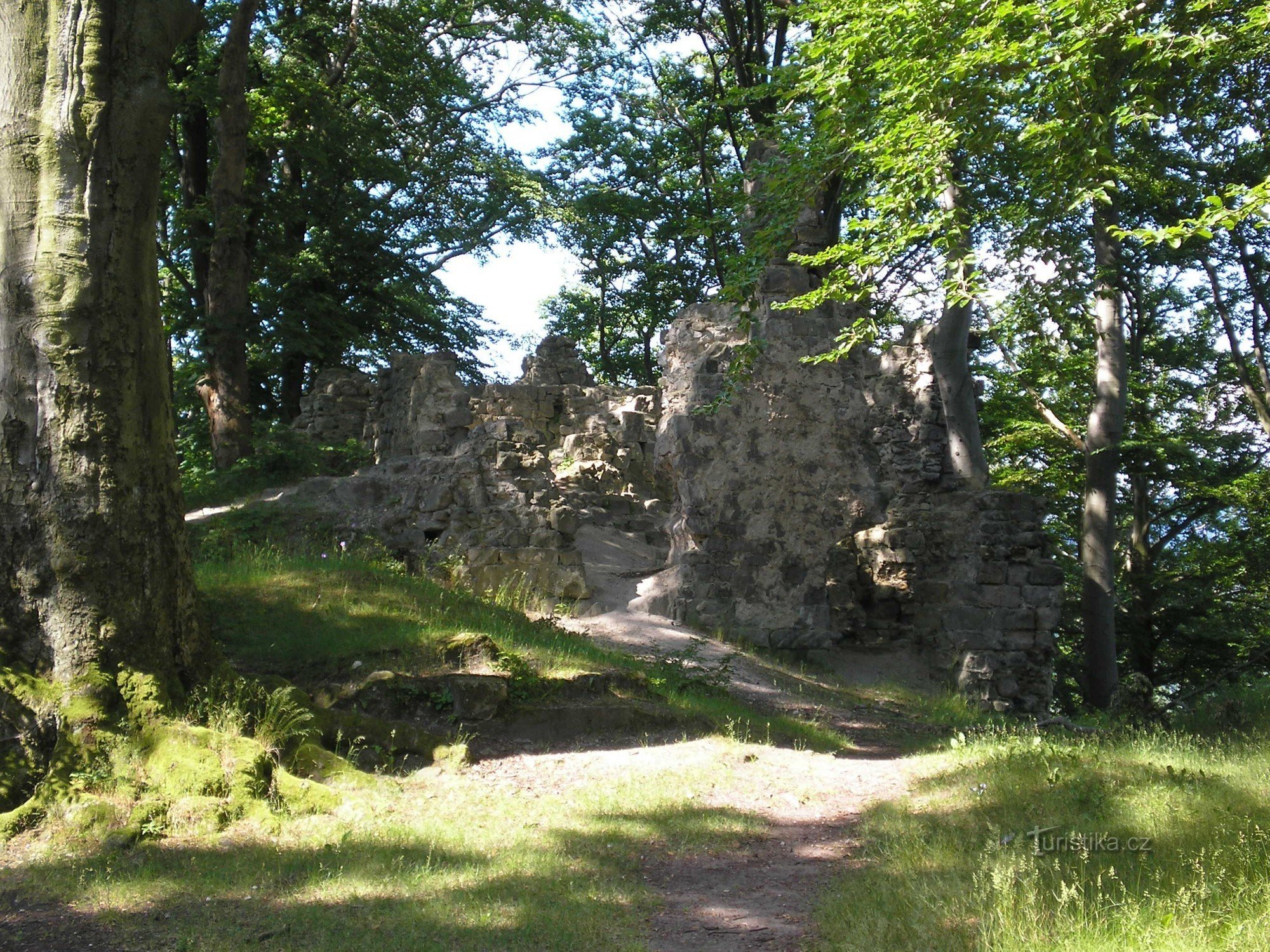 Die Ruinen der Burg Děvín