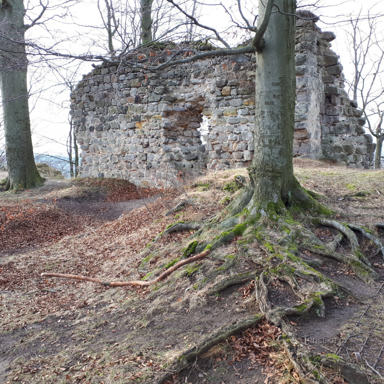 las ruinas del castillo de Děvín, Hamr na Jezeře