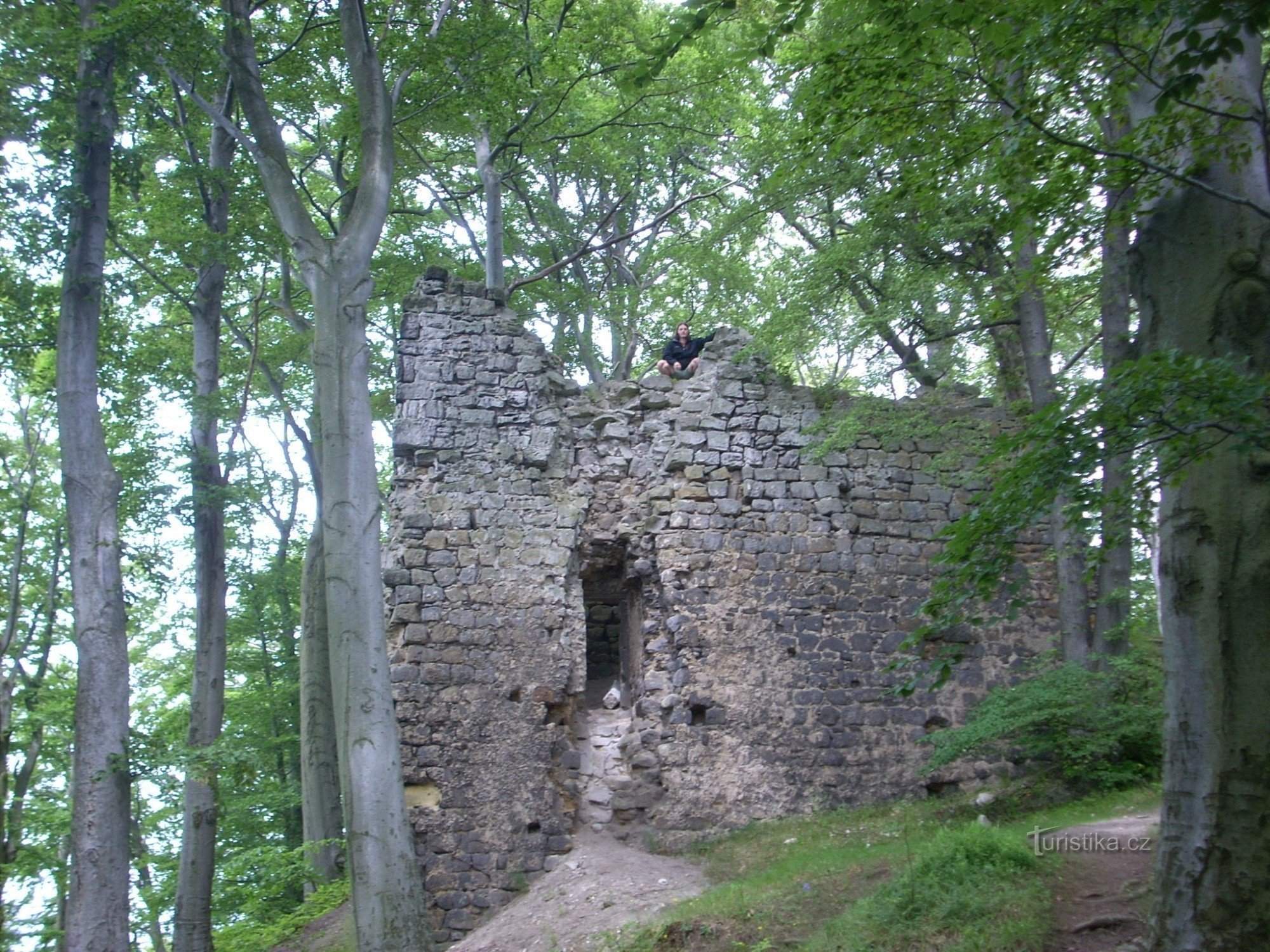 Zřícenina hradu Děvína