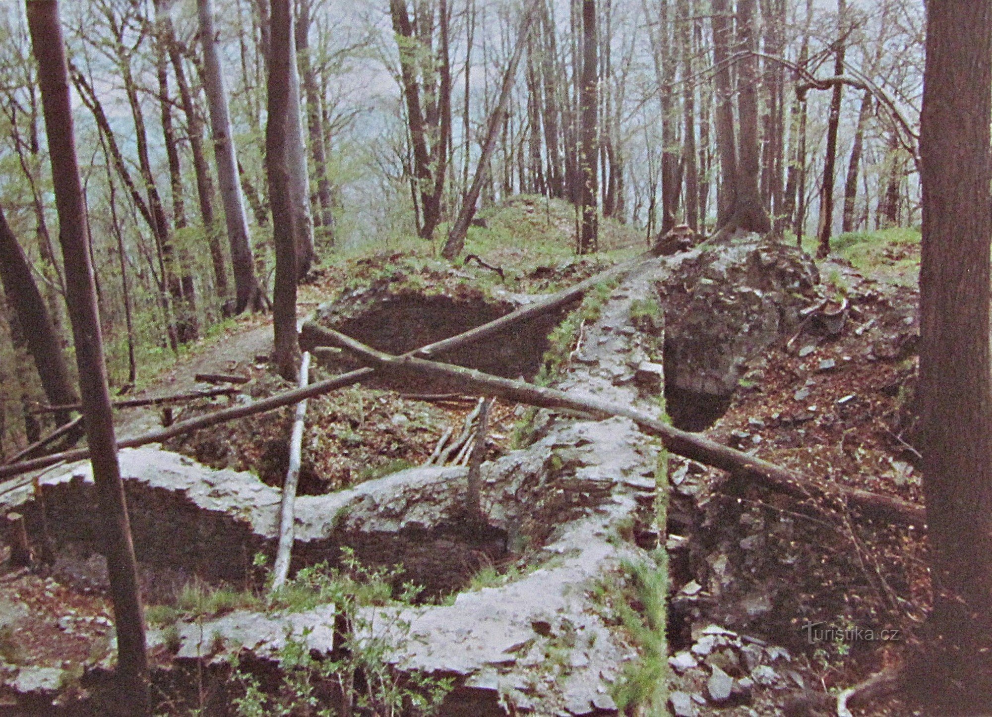 les ruines du château de Drahotuše