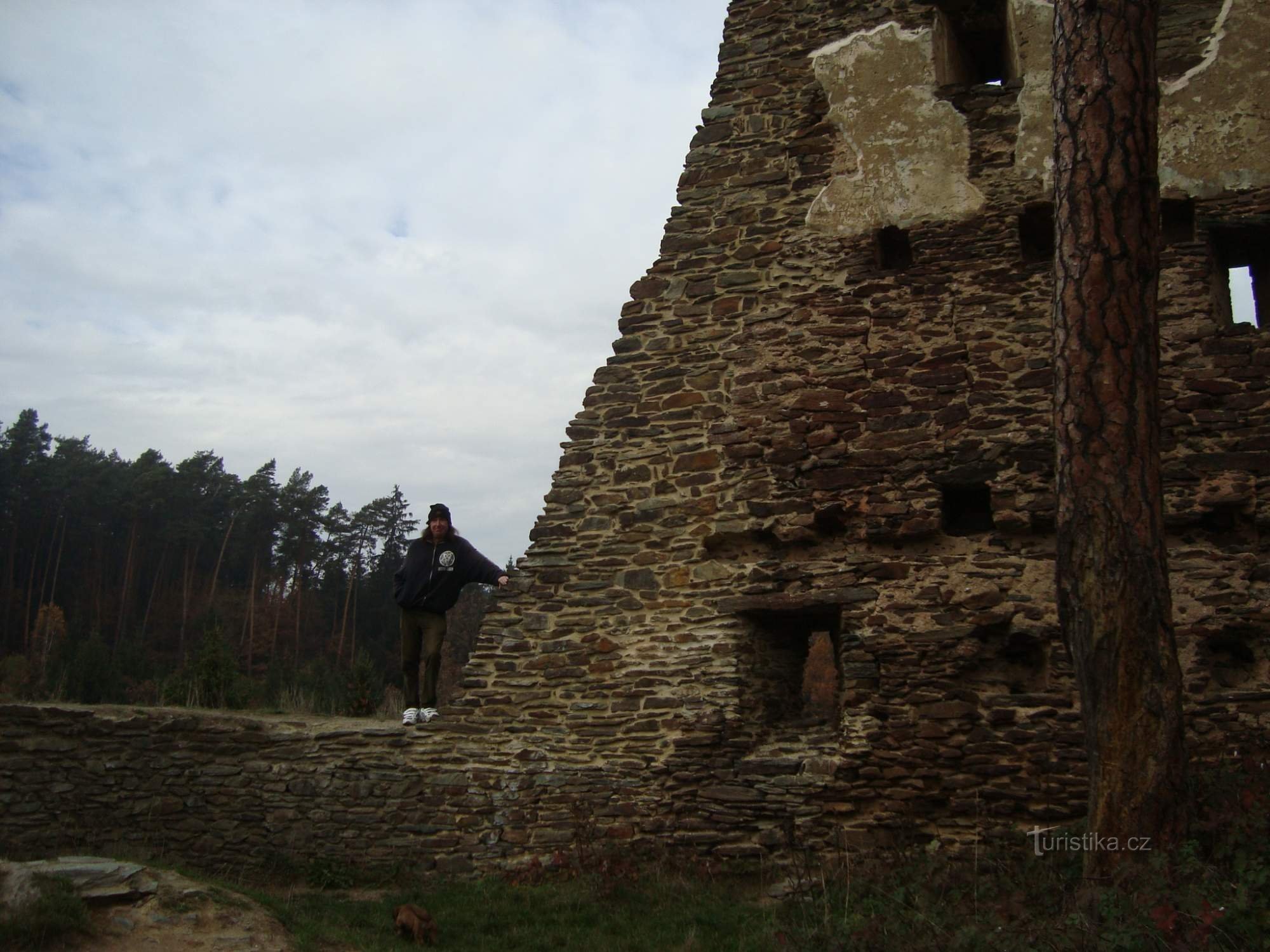 Die Ruinen der Burg Gutštejn