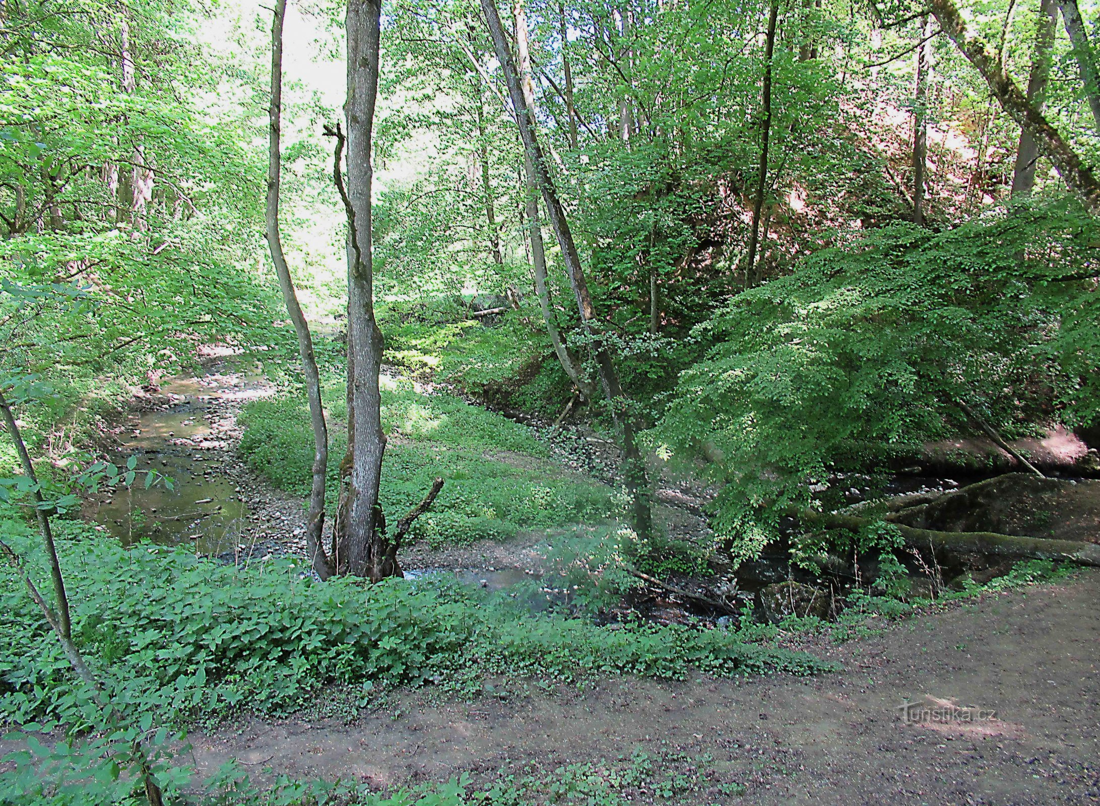 The ruins of Holštejn Castle in the Moravian Karst landscape