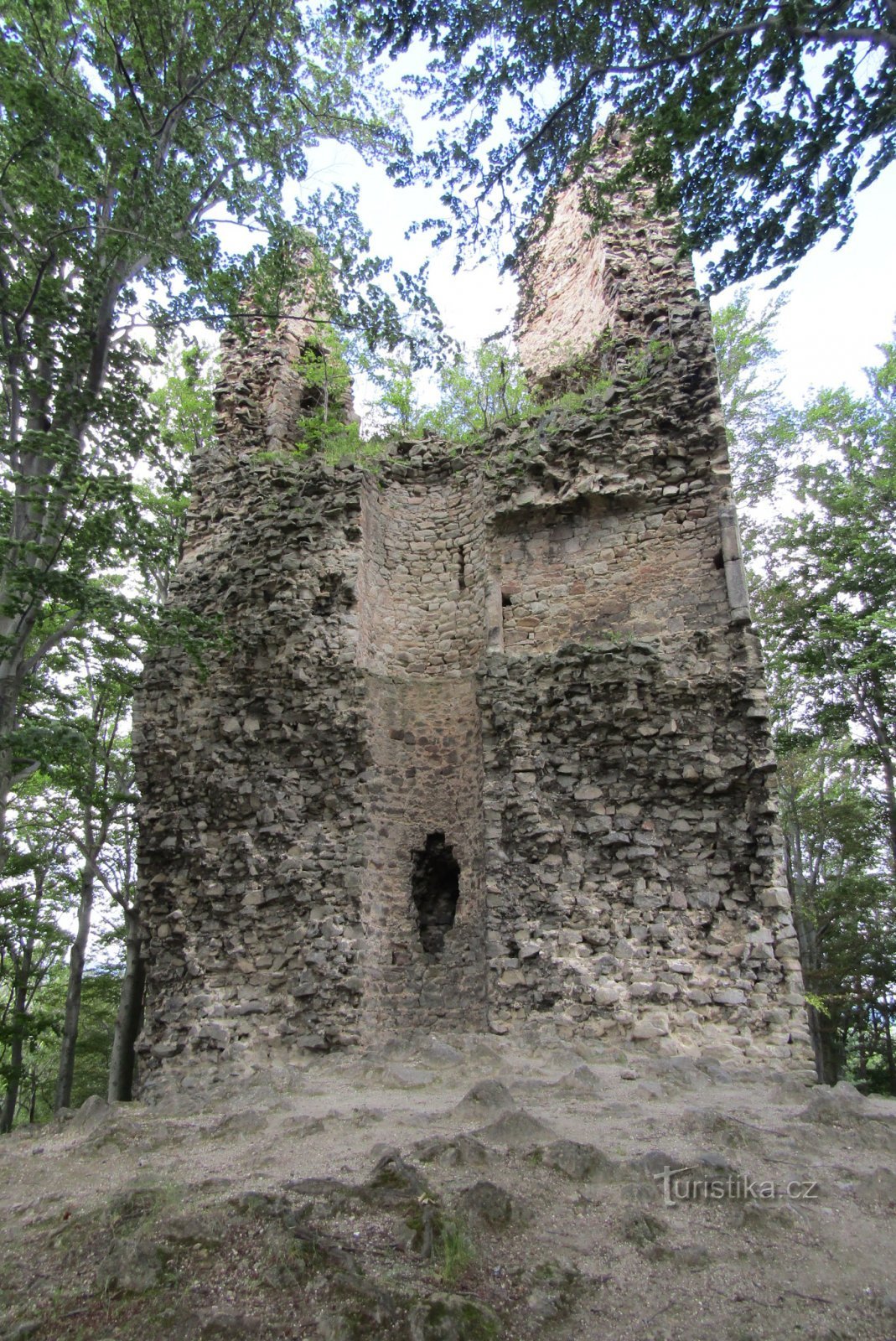 The ruins of the castle Kaltenštejn