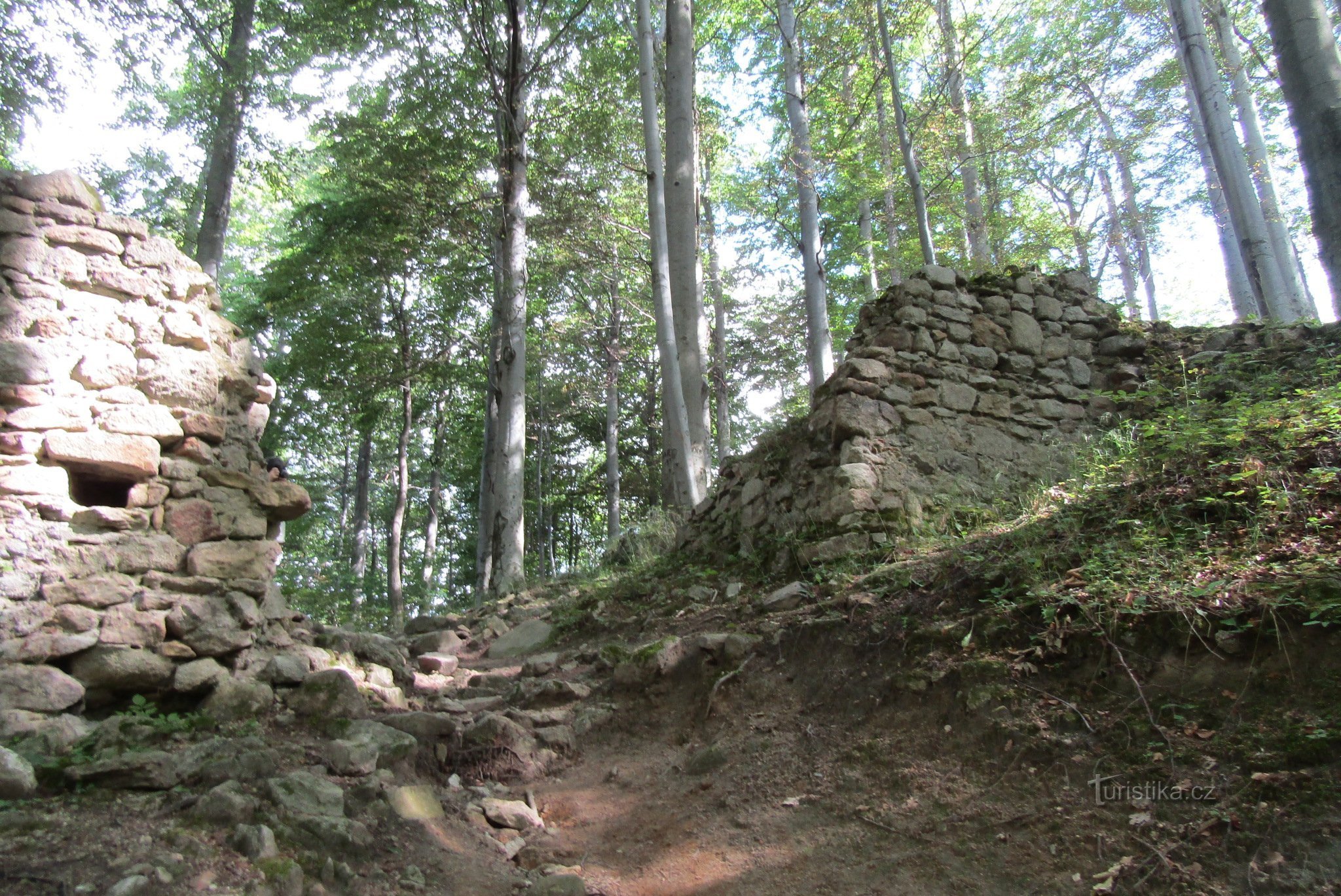 The ruins of the castle Kaltenštejn