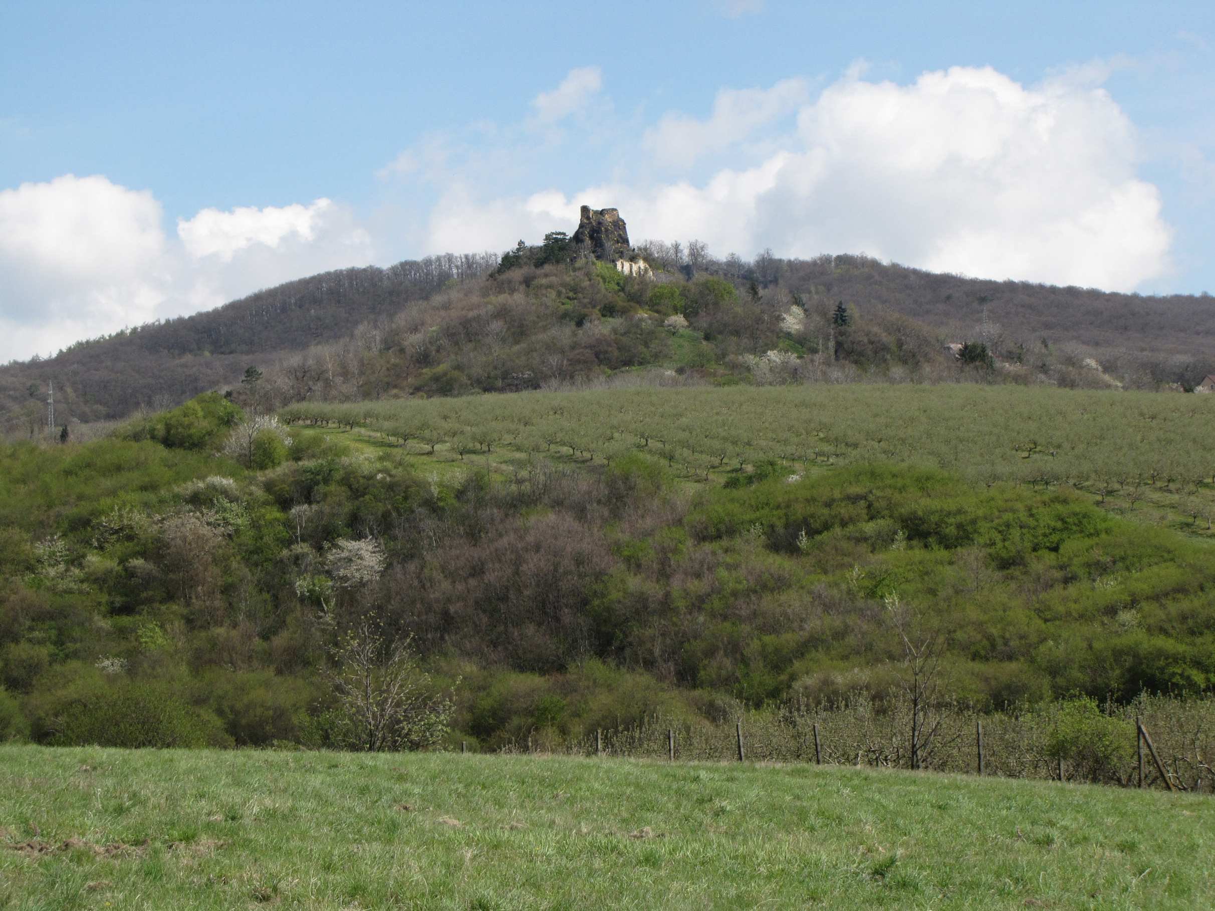 Las ruinas del castillo de Kamýk