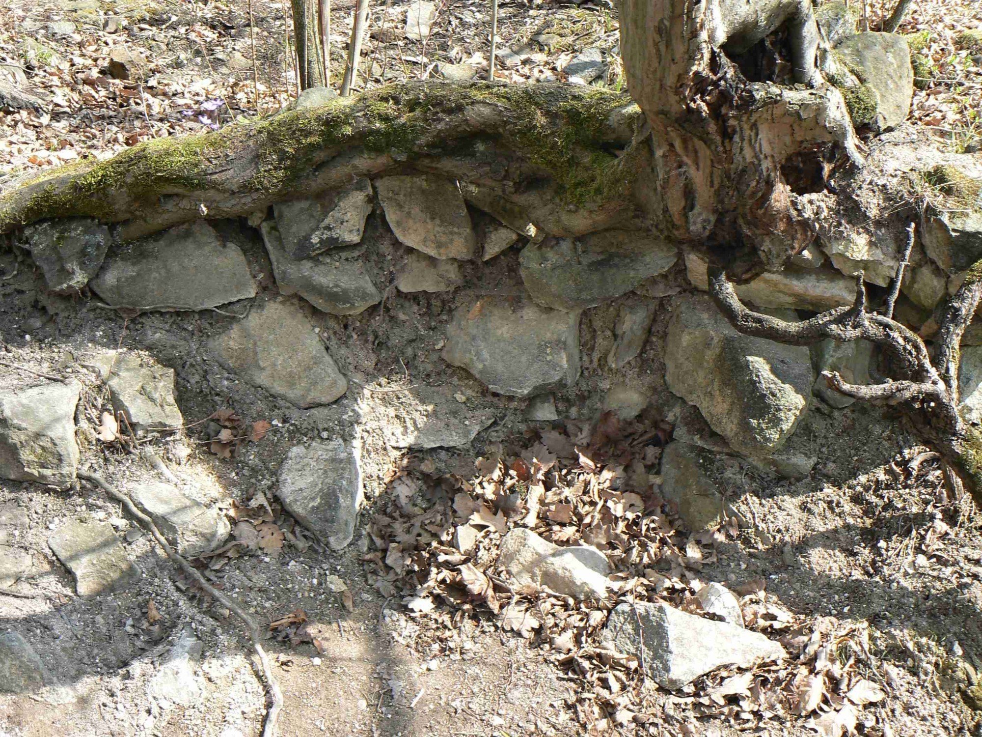 Les ruines du château de Karlík