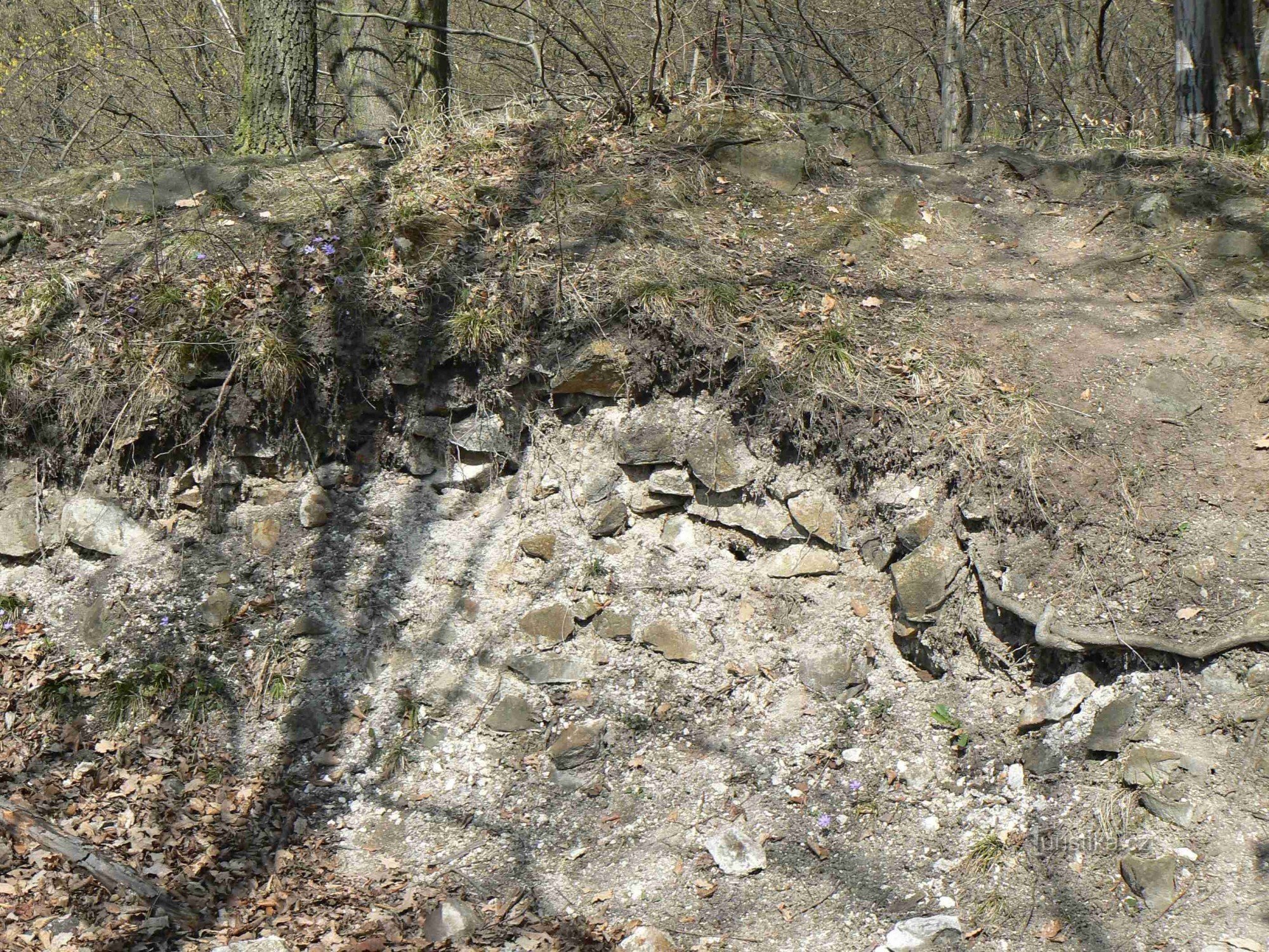 The ruins of Karlík Castle