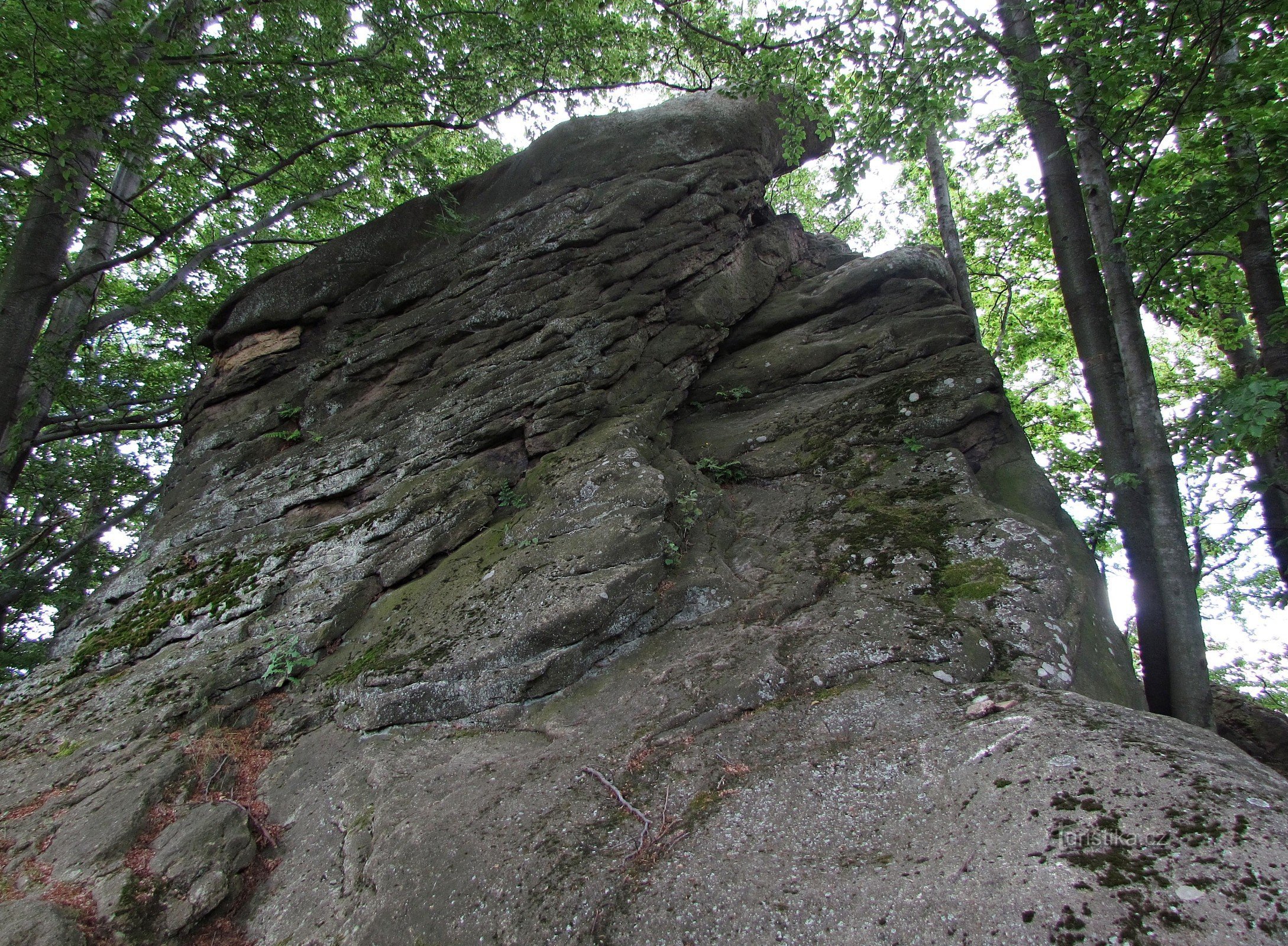 Die Ruinen der Burg Klenova