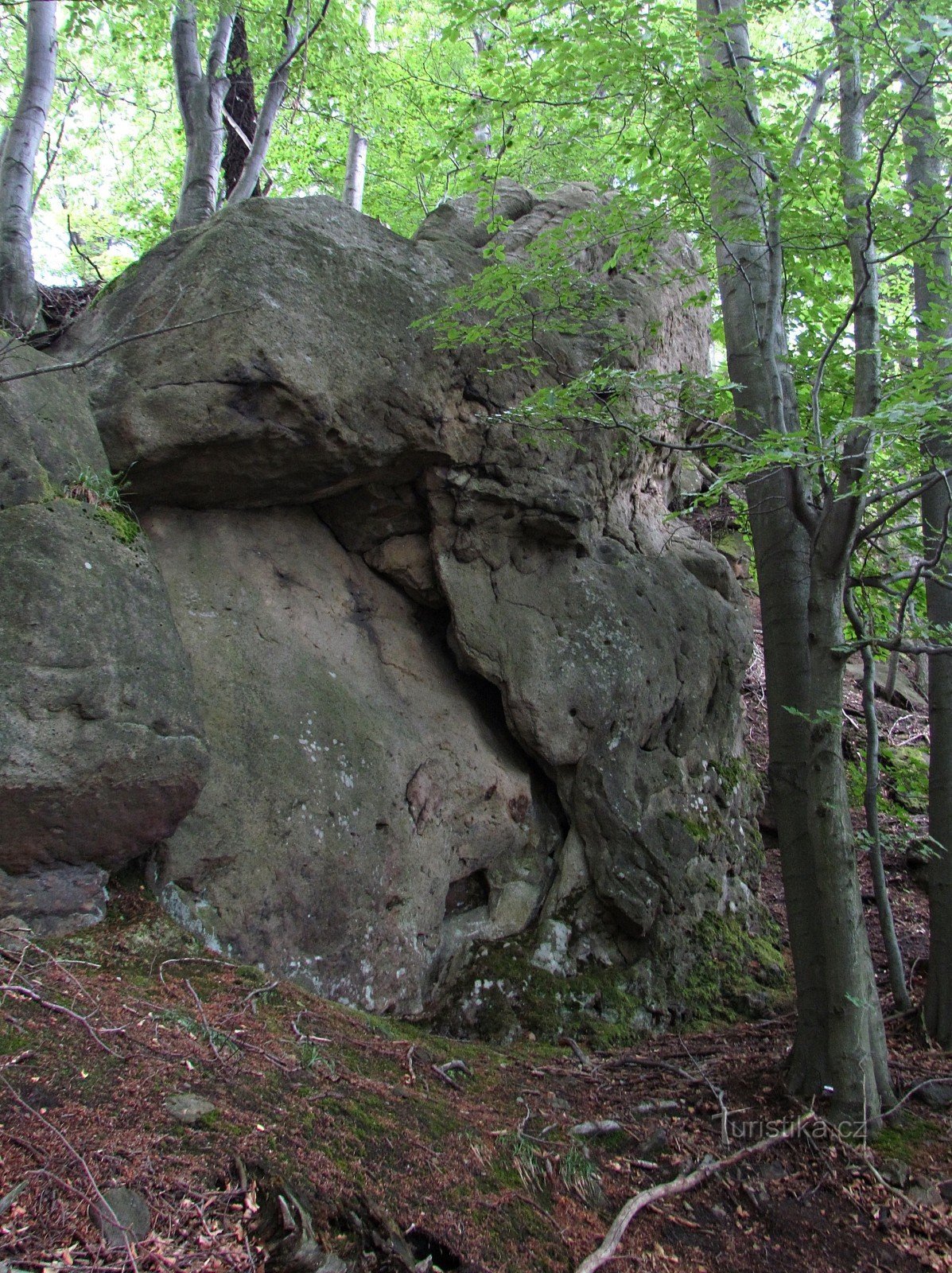 Die Ruinen der Burg Klenova