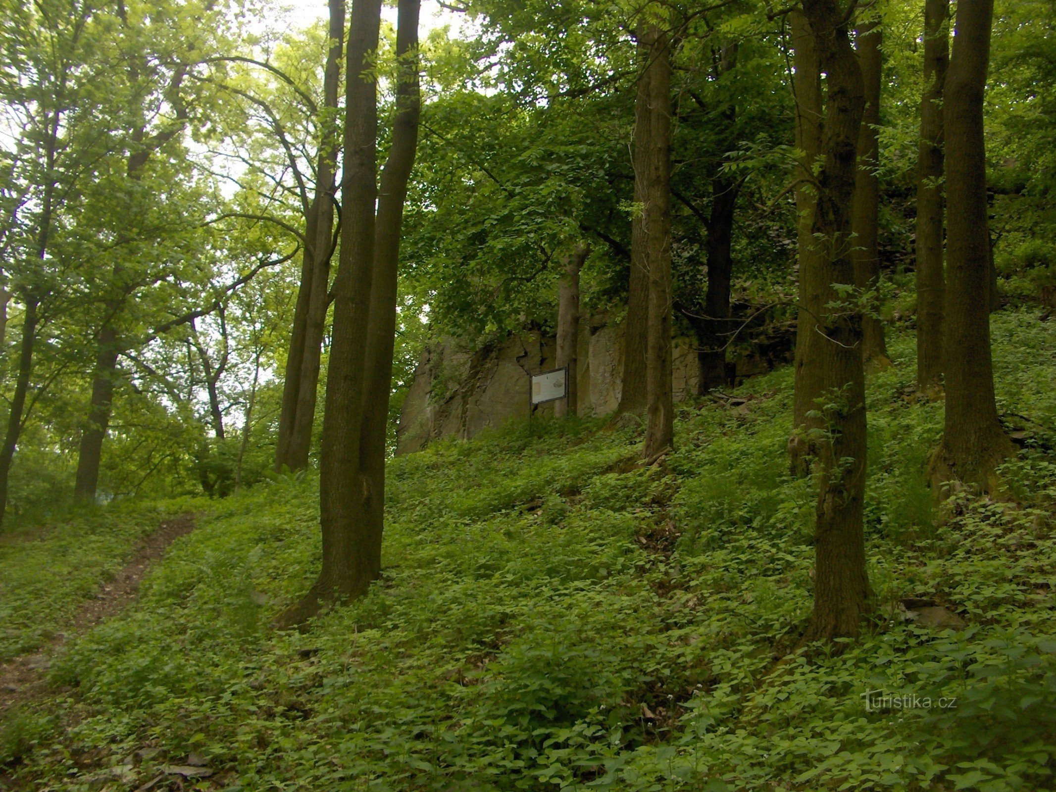 As ruínas do Castelo de Litýš