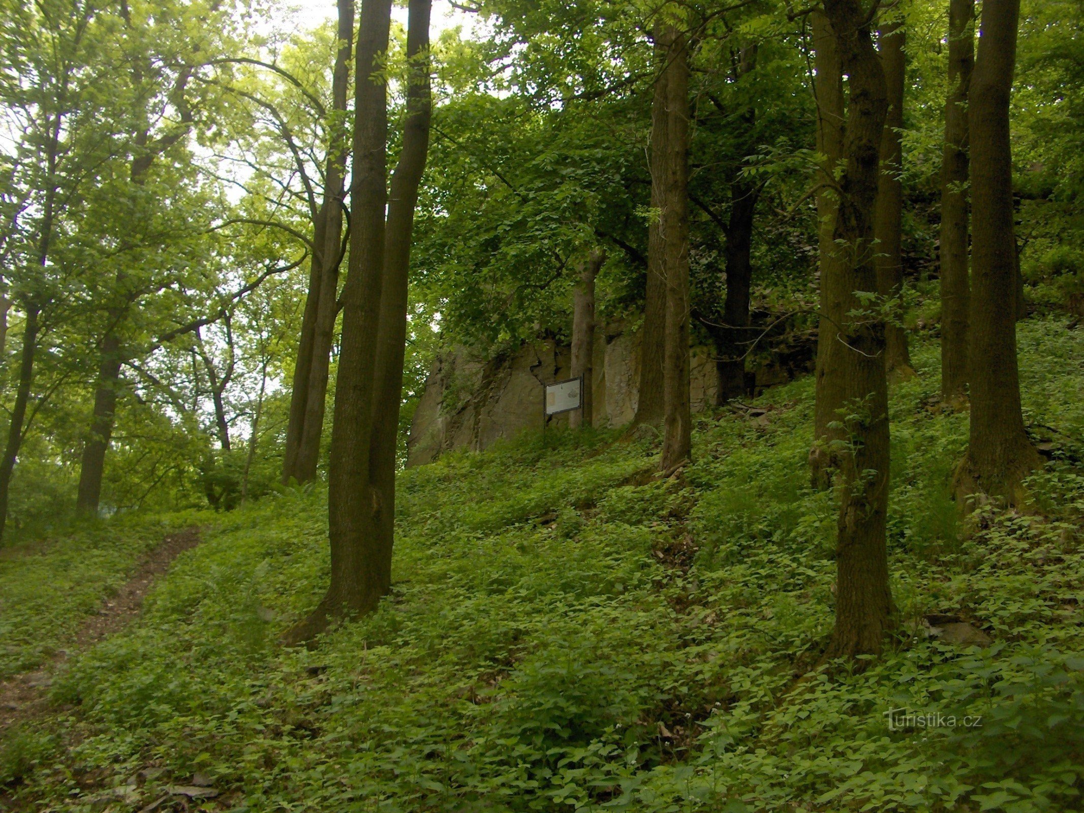 Les ruines du château de Litýš