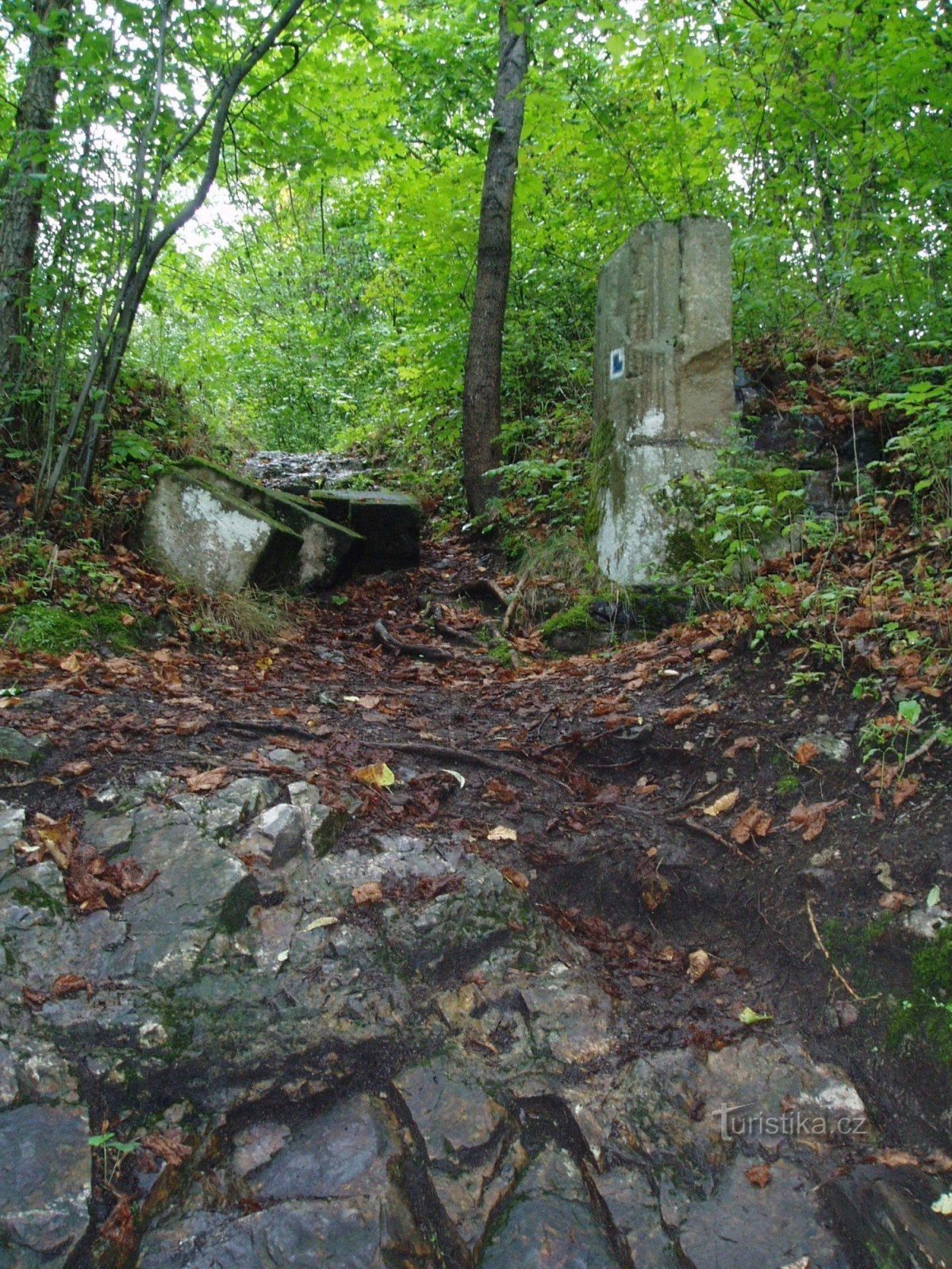 руины замка Лопата