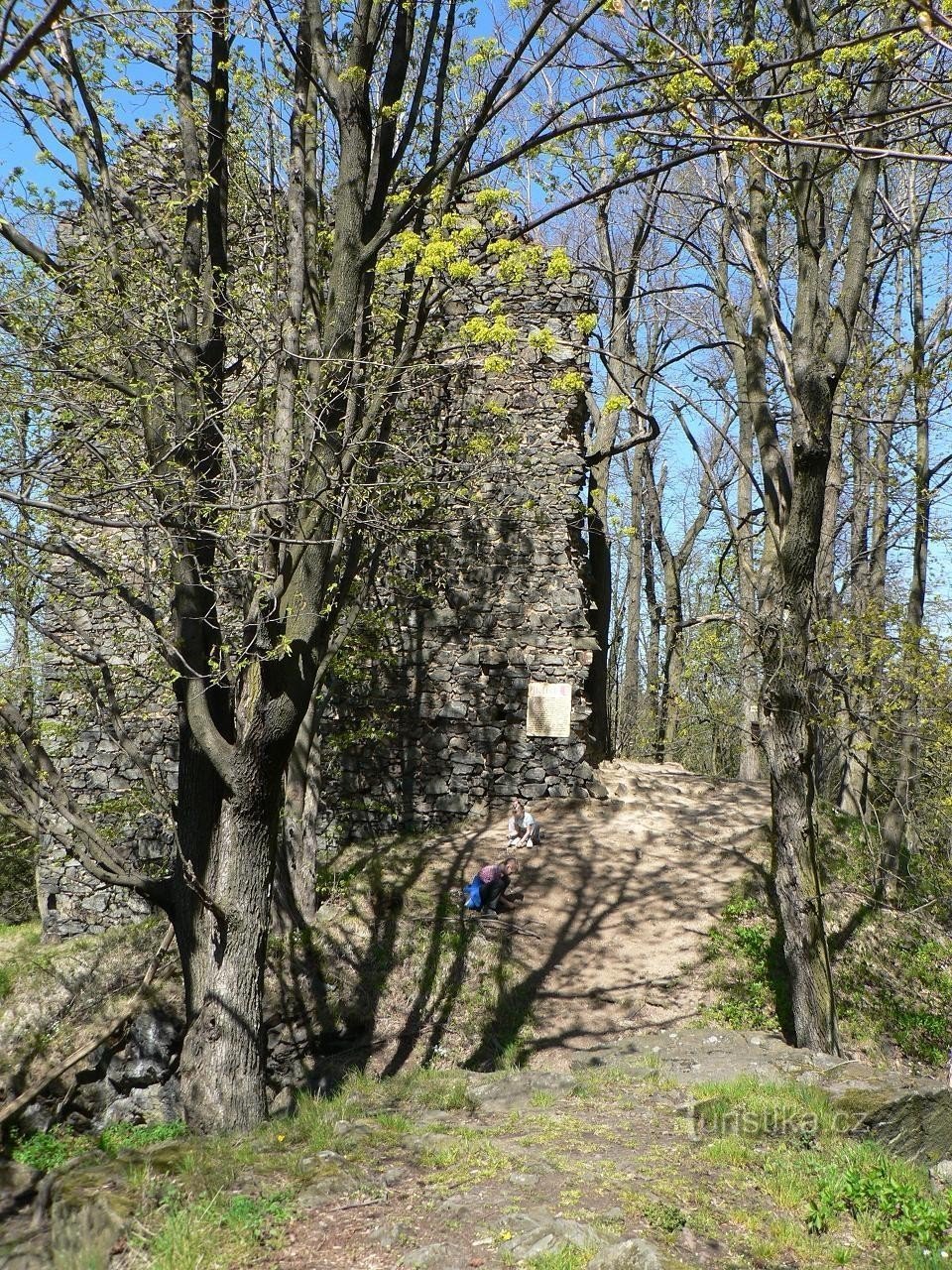 Ruinele castelului Netřeb