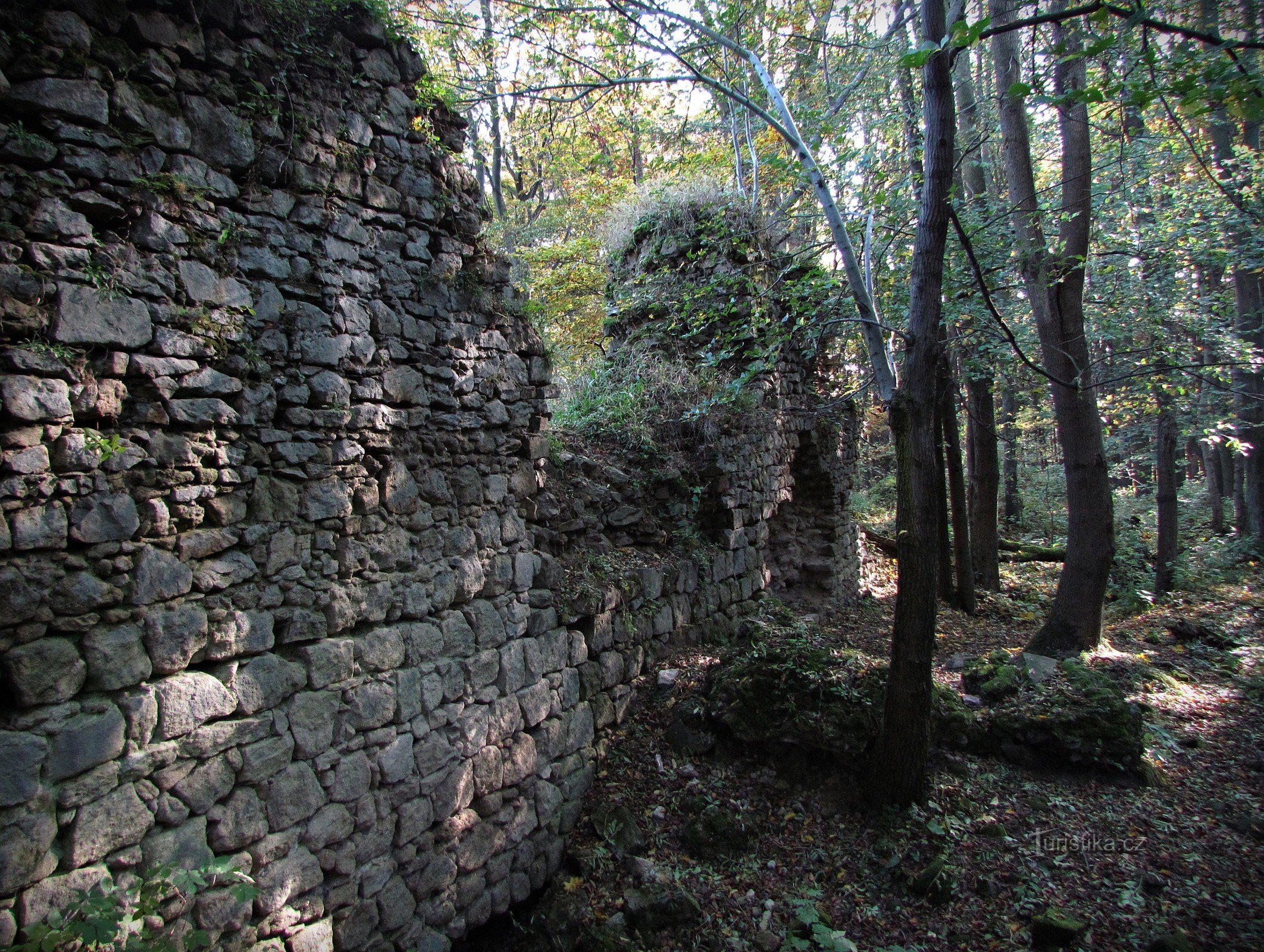 De ruïnes van het kasteel van Obřany